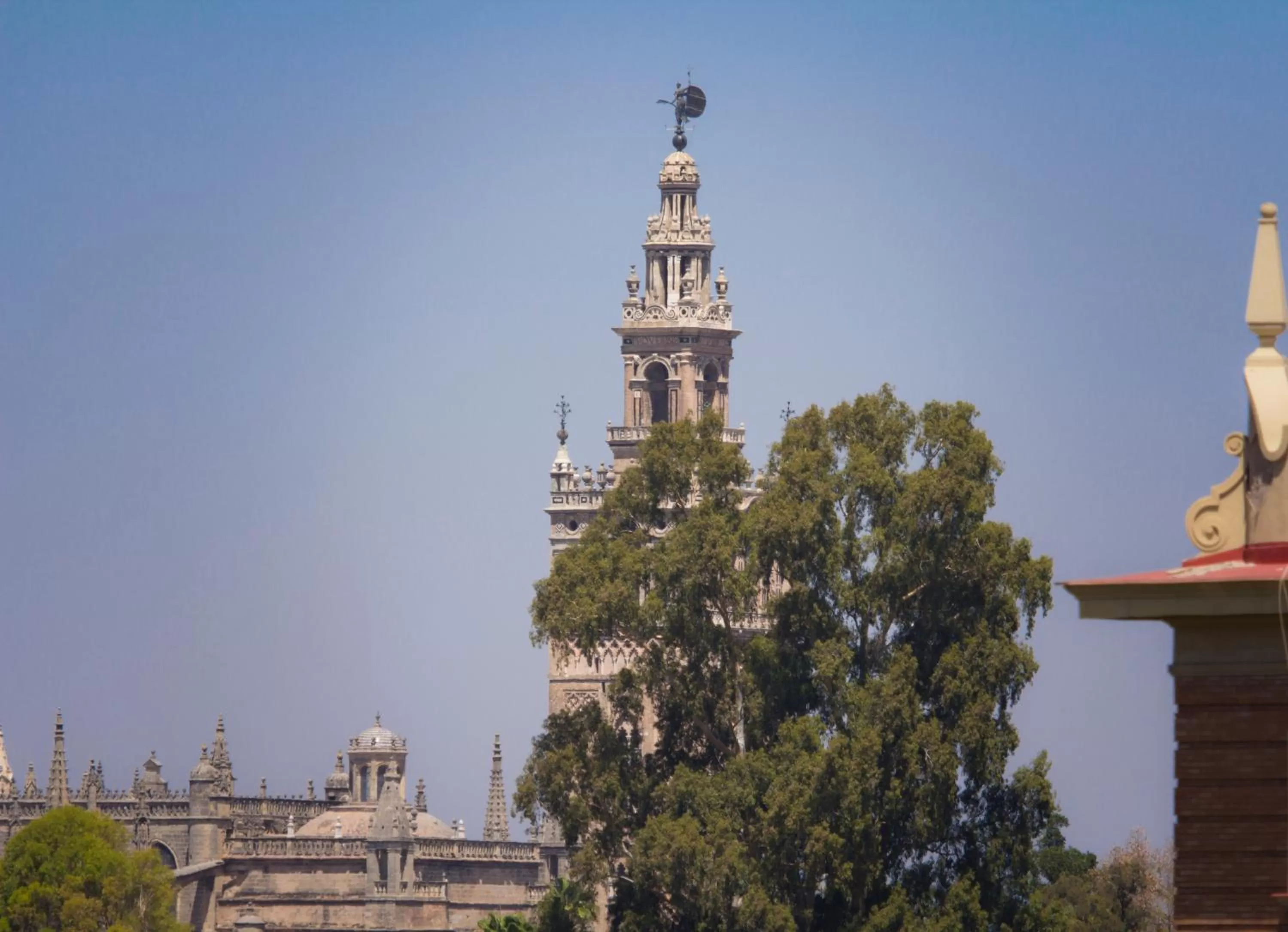 Other in Hotel Pasarela