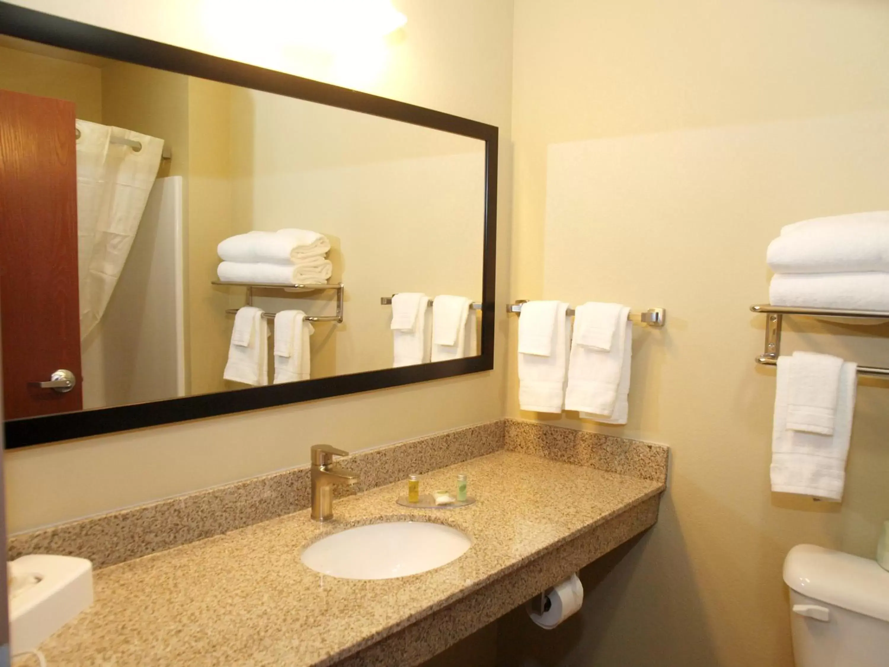 Bathroom in Cobblestone Inn & Suites - Vinton, LA