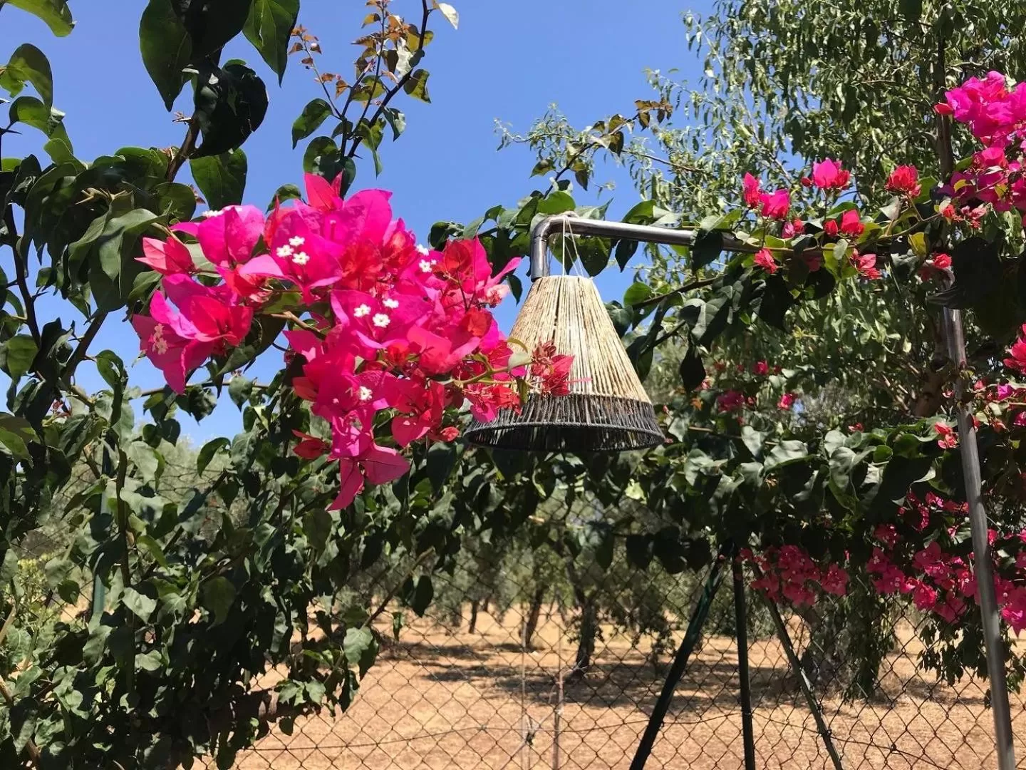 Other, Property Building in CasapiuHolidaySicilia-Adults Only