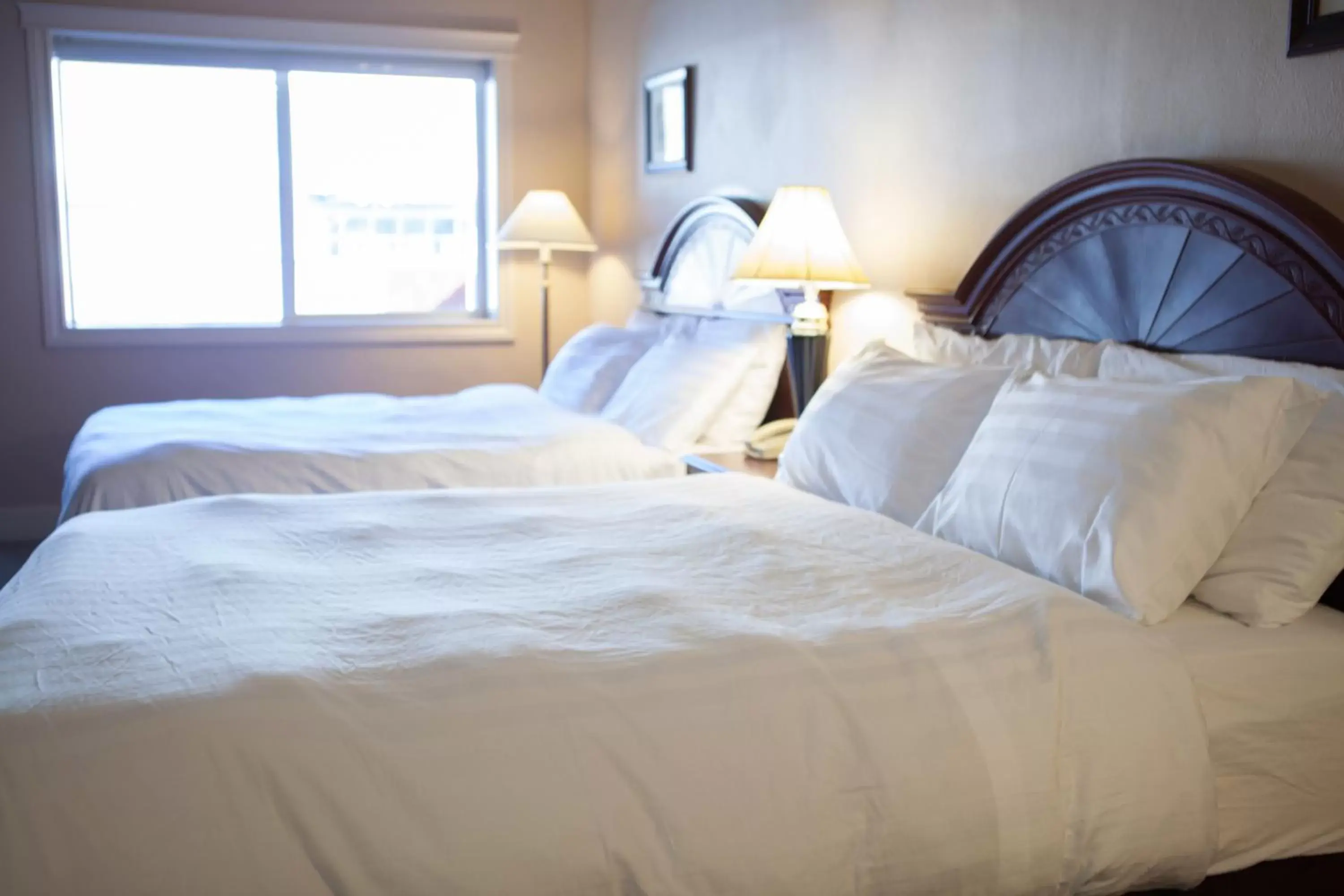 Photo of the whole room, Bed in Revelstoke Lodge