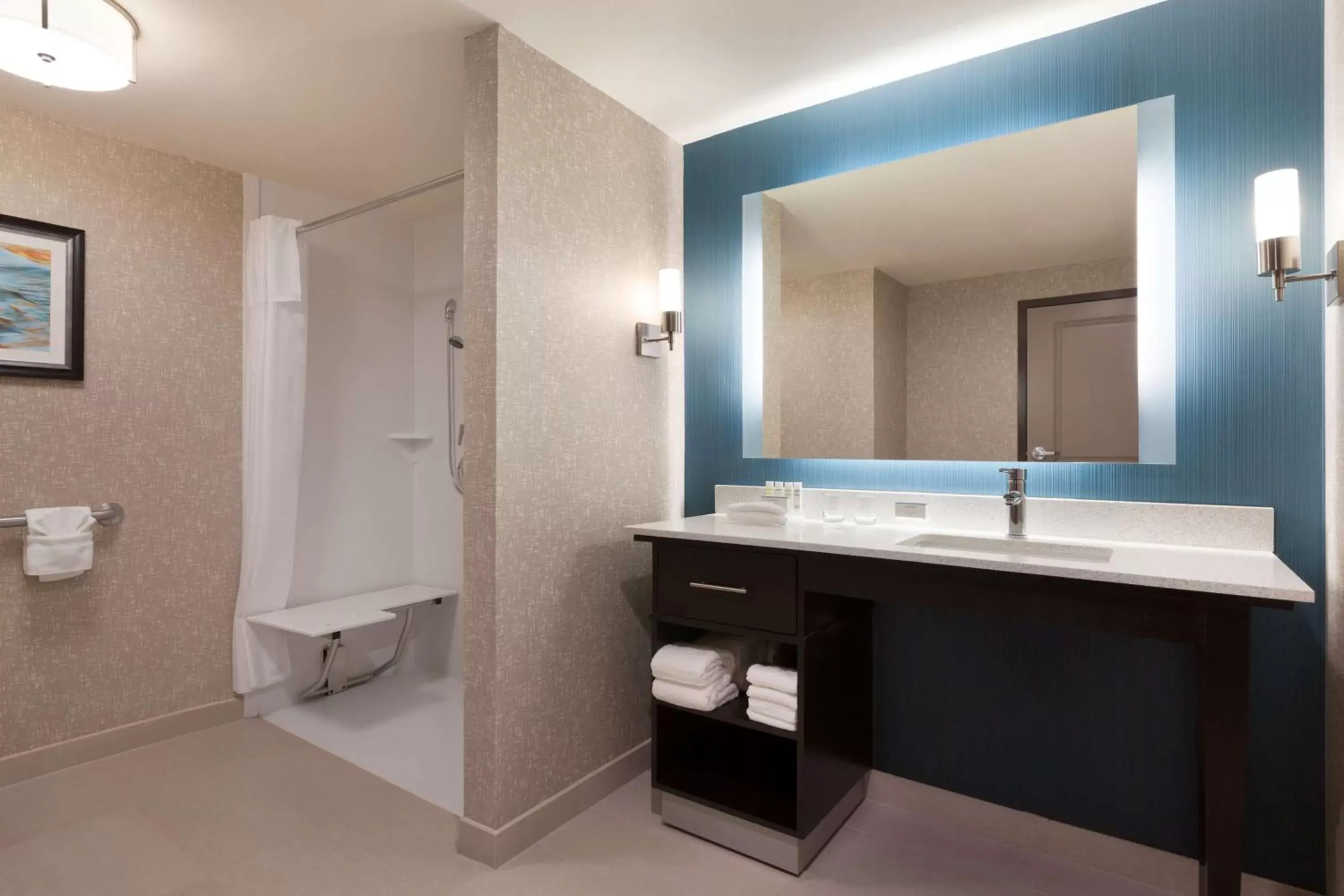Bathroom in Homewood Suites by Hilton North Houston/Spring