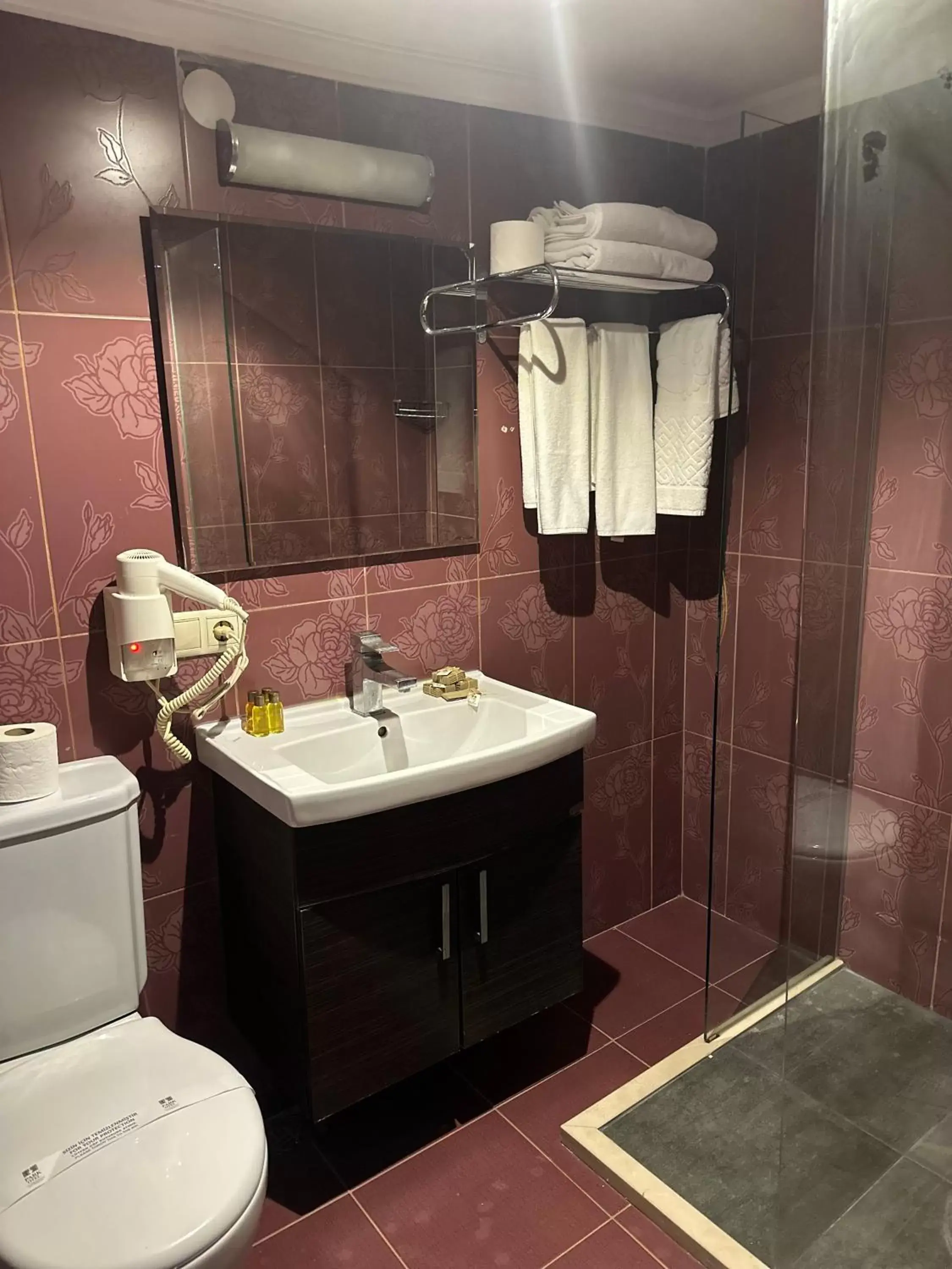 Bathroom in TS Park Hotel