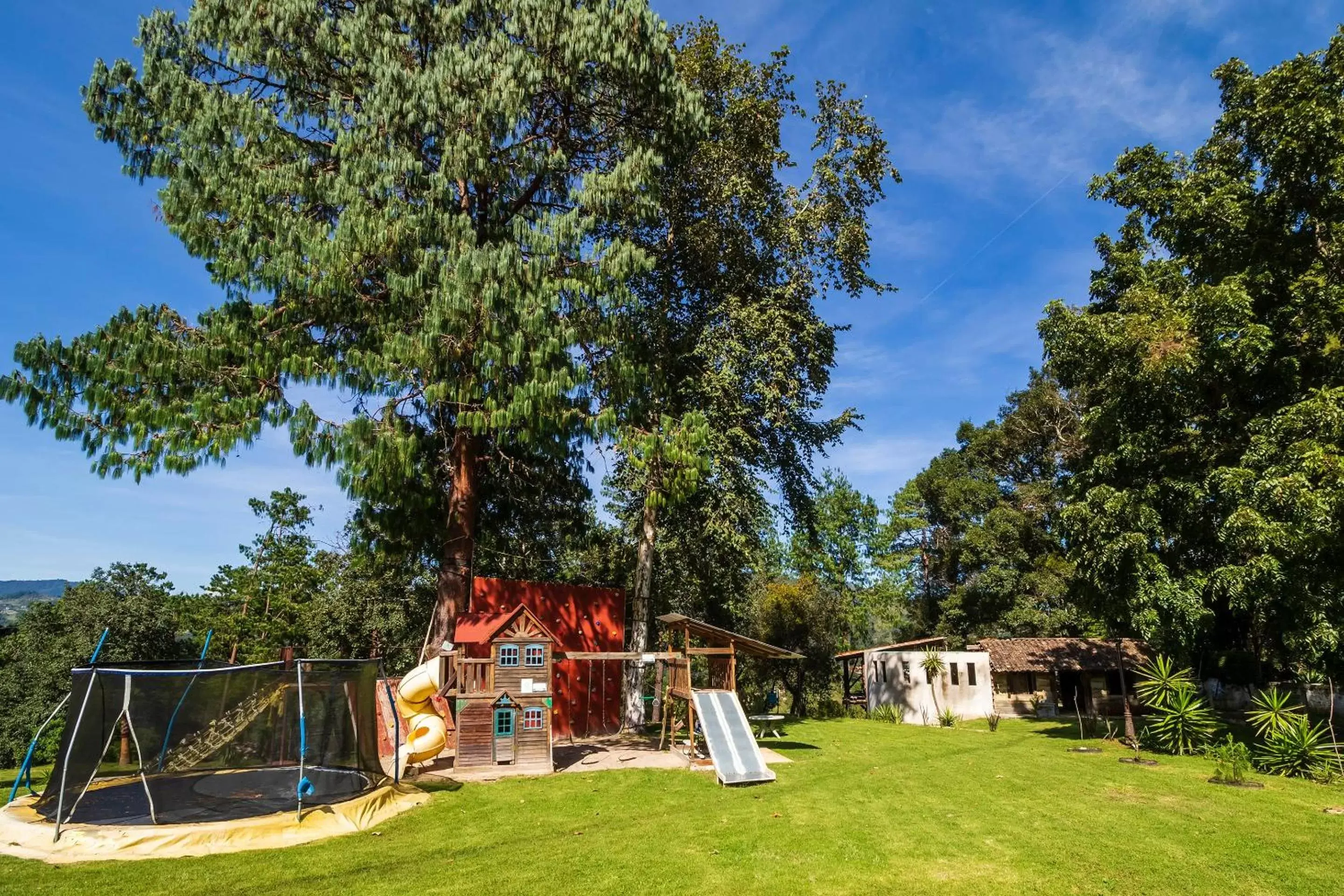 Garden, Property Building in Hotel Pozo Viejo