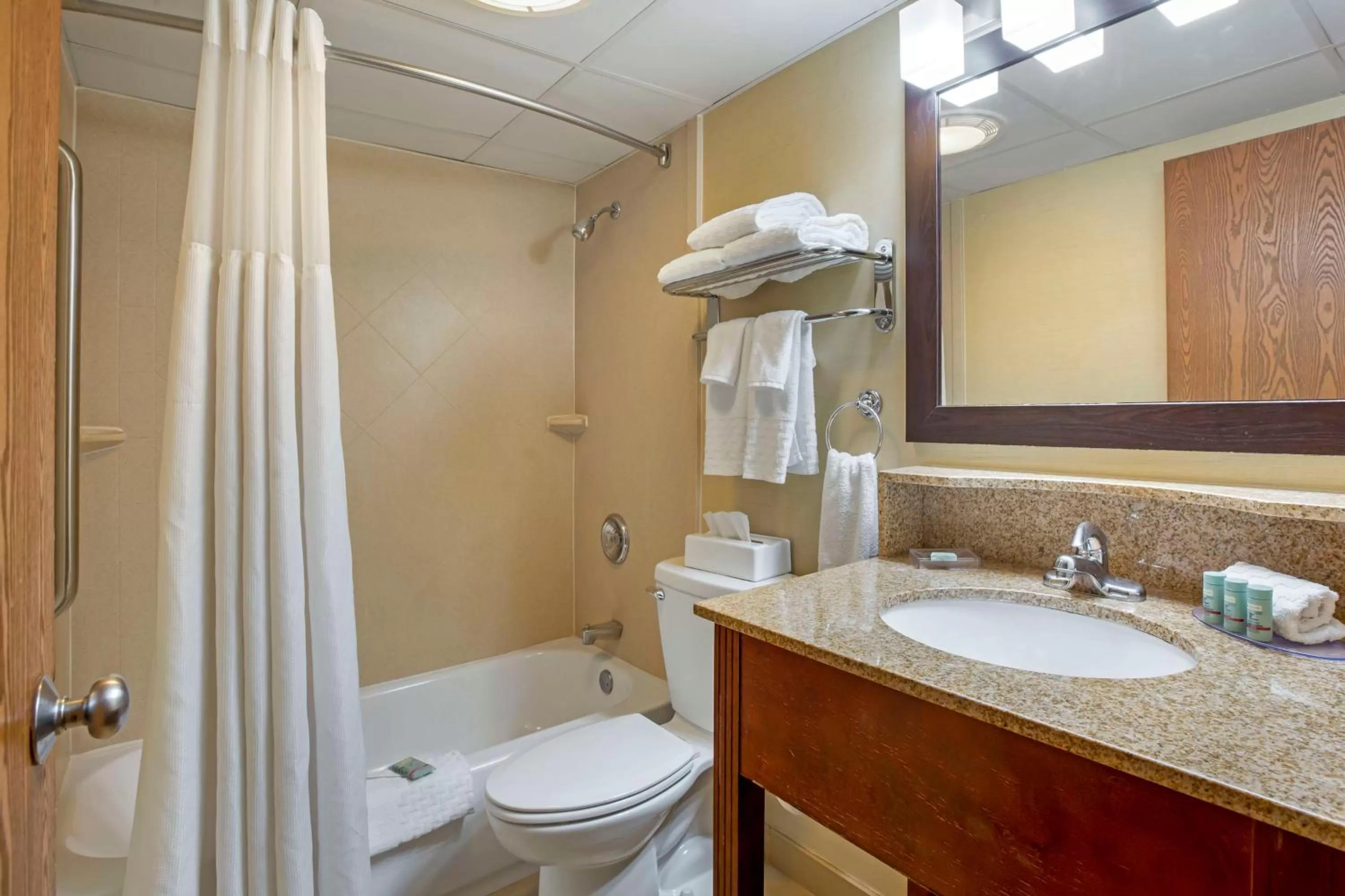 Queen Room - Hearing Accessible in Best Western Plus The Inn at Sharon/Foxboro