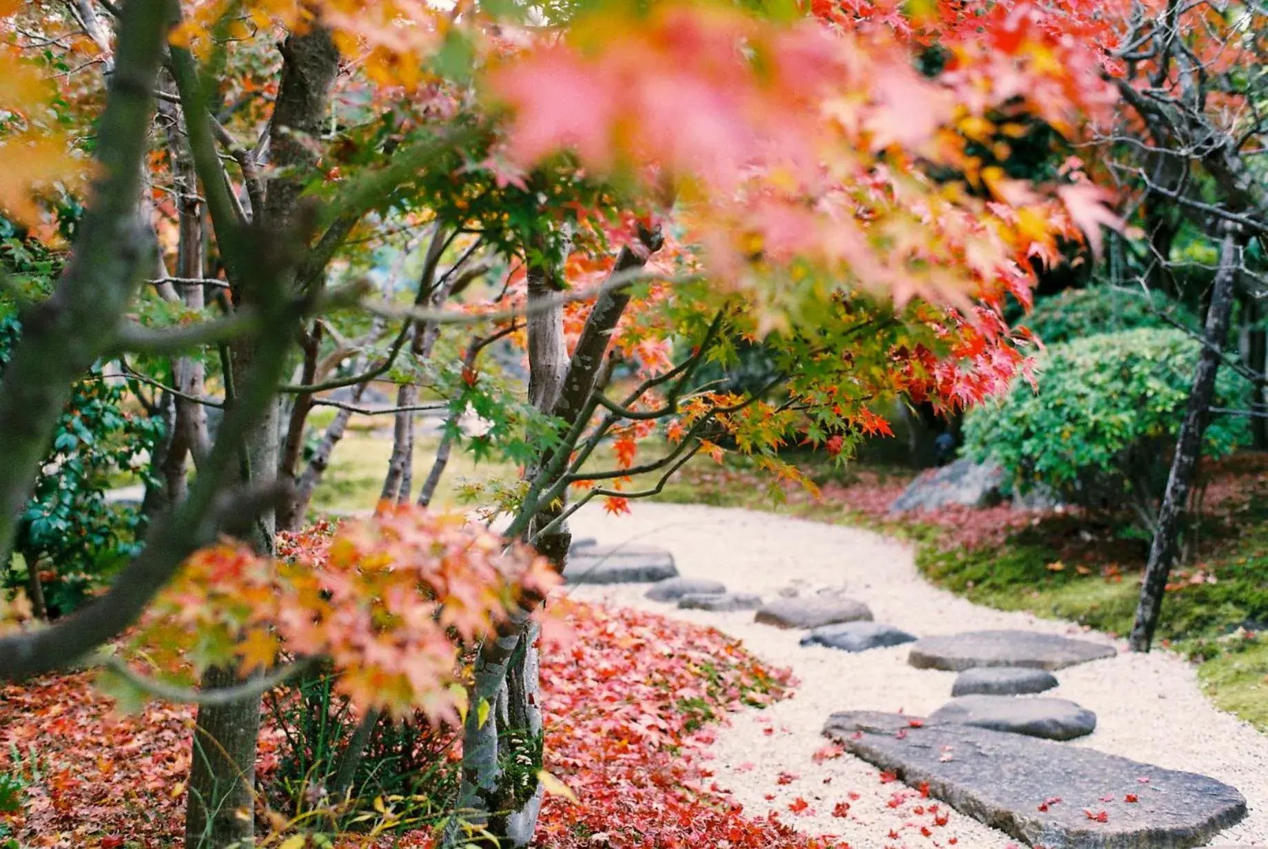 Garden in Ryokan Genhouin