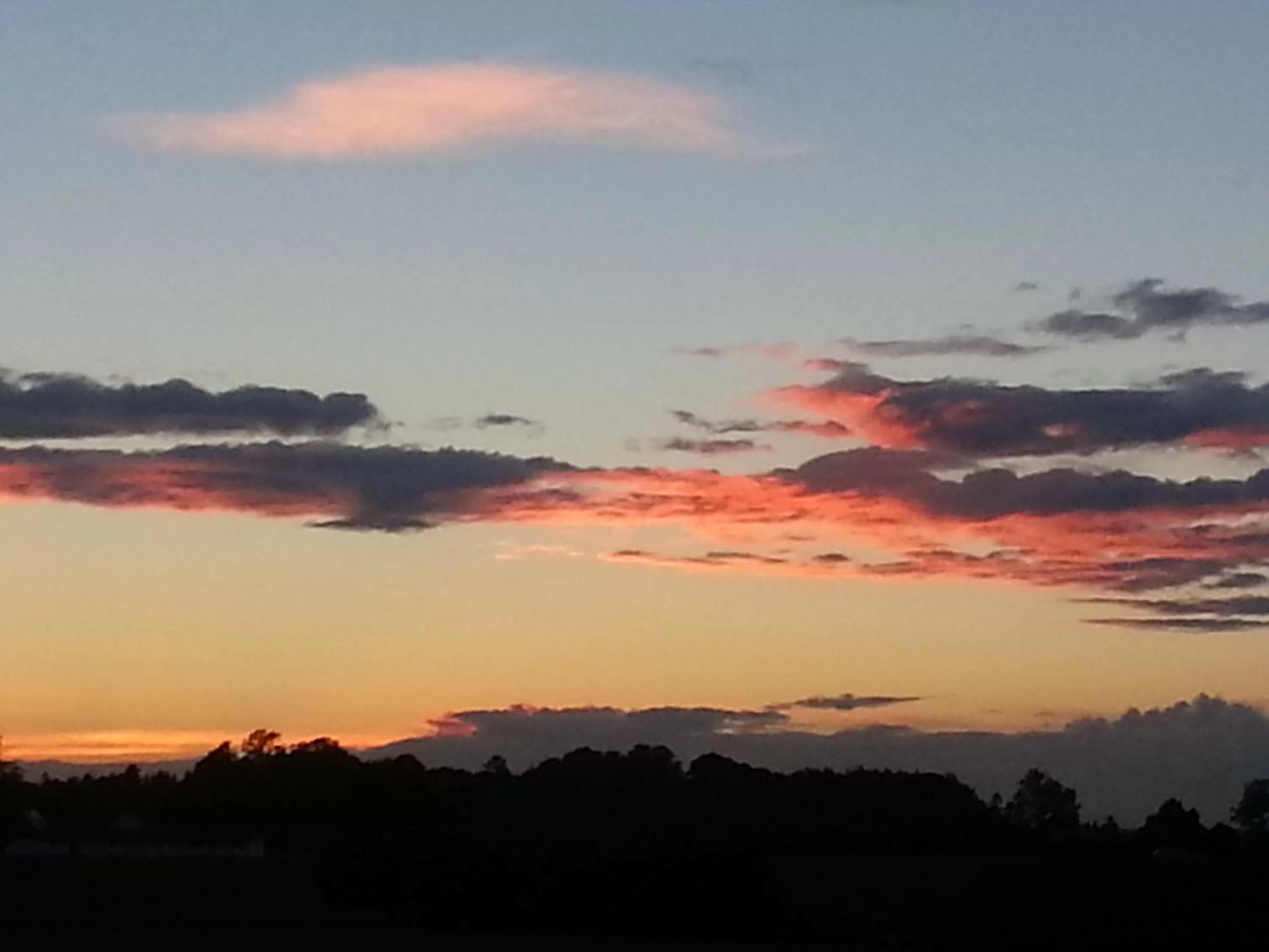 Natural landscape in Roskilde B&B