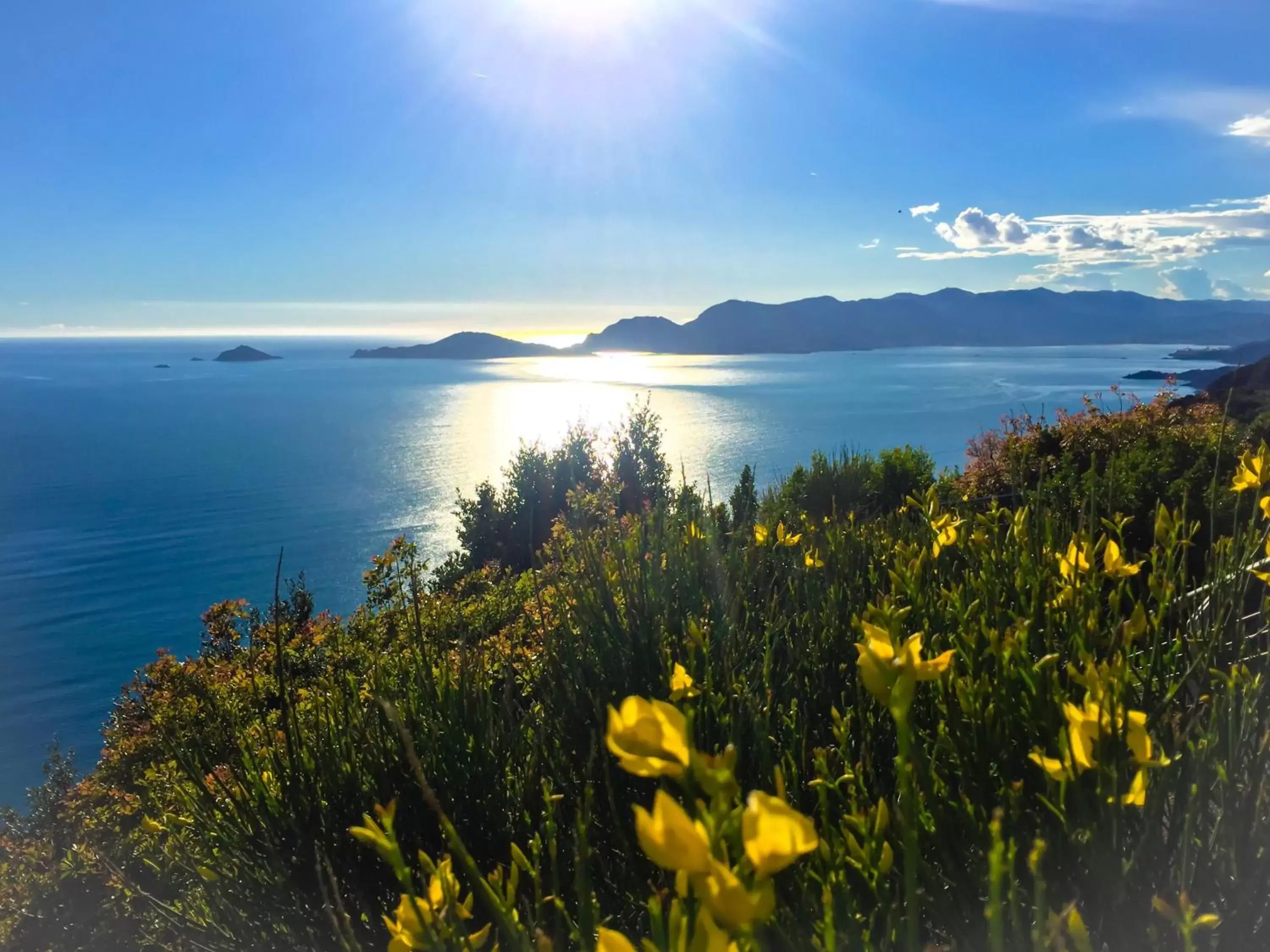 Natural landscape in Le Pinette