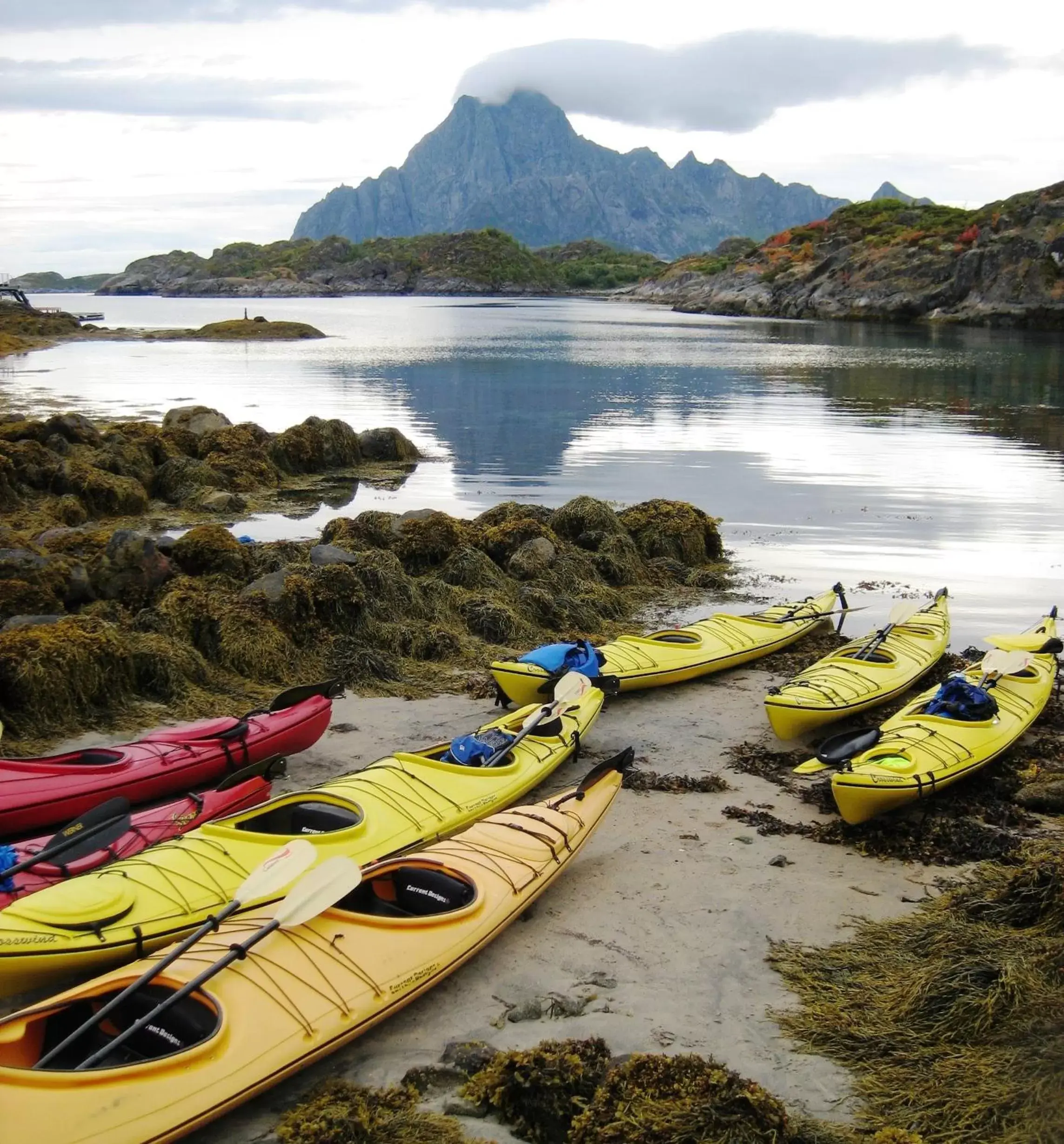 People, Beach in Thon Hotel Lofoten