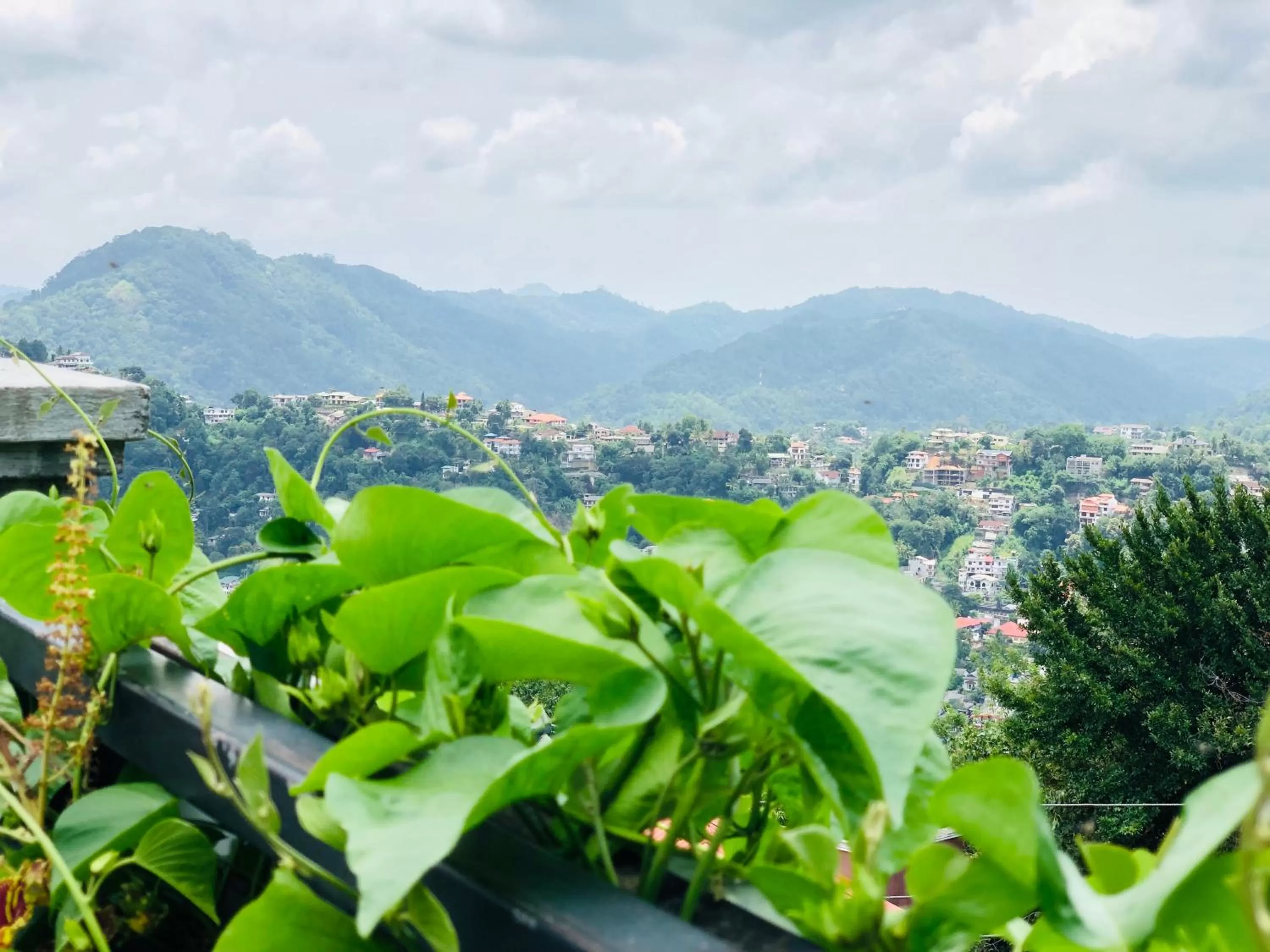 Mountain View in The Heaven's Villa Kandy