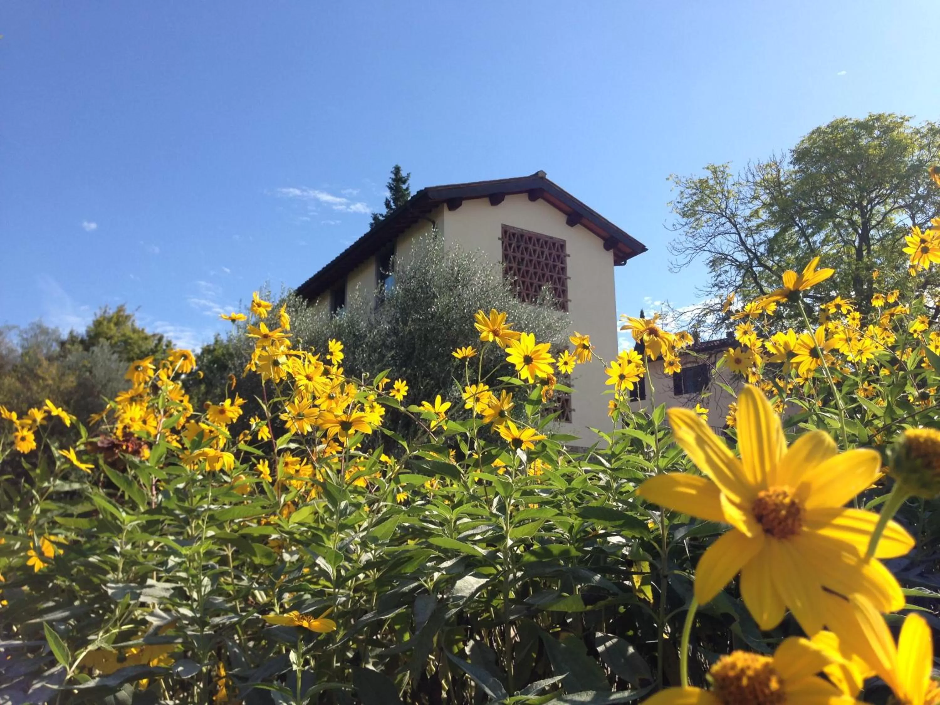 Il Poggiolo Delle Rose Bed&Breakfast