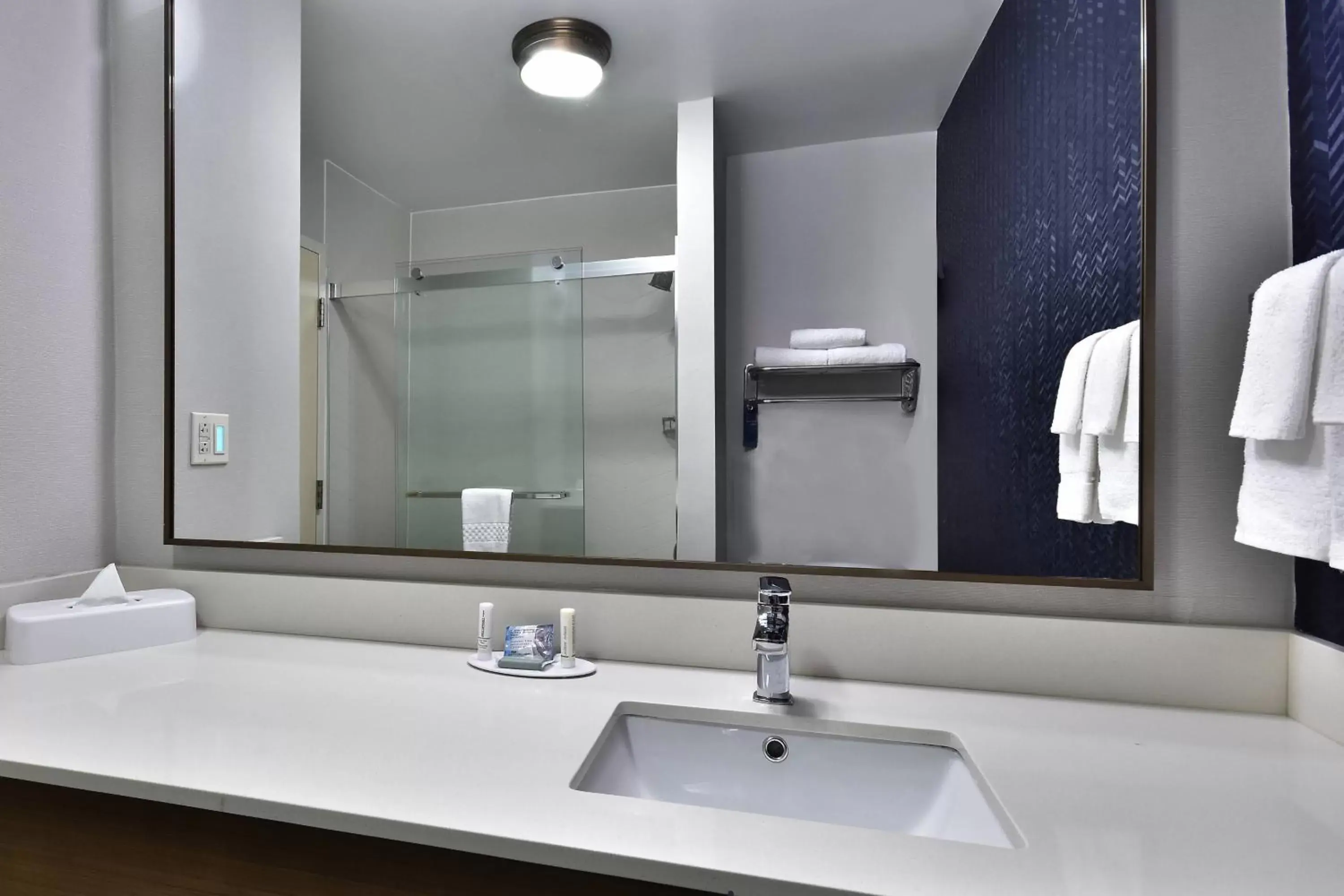 Bathroom in Fairfield Inn & Suites by Marriott Richmond Innsbrook