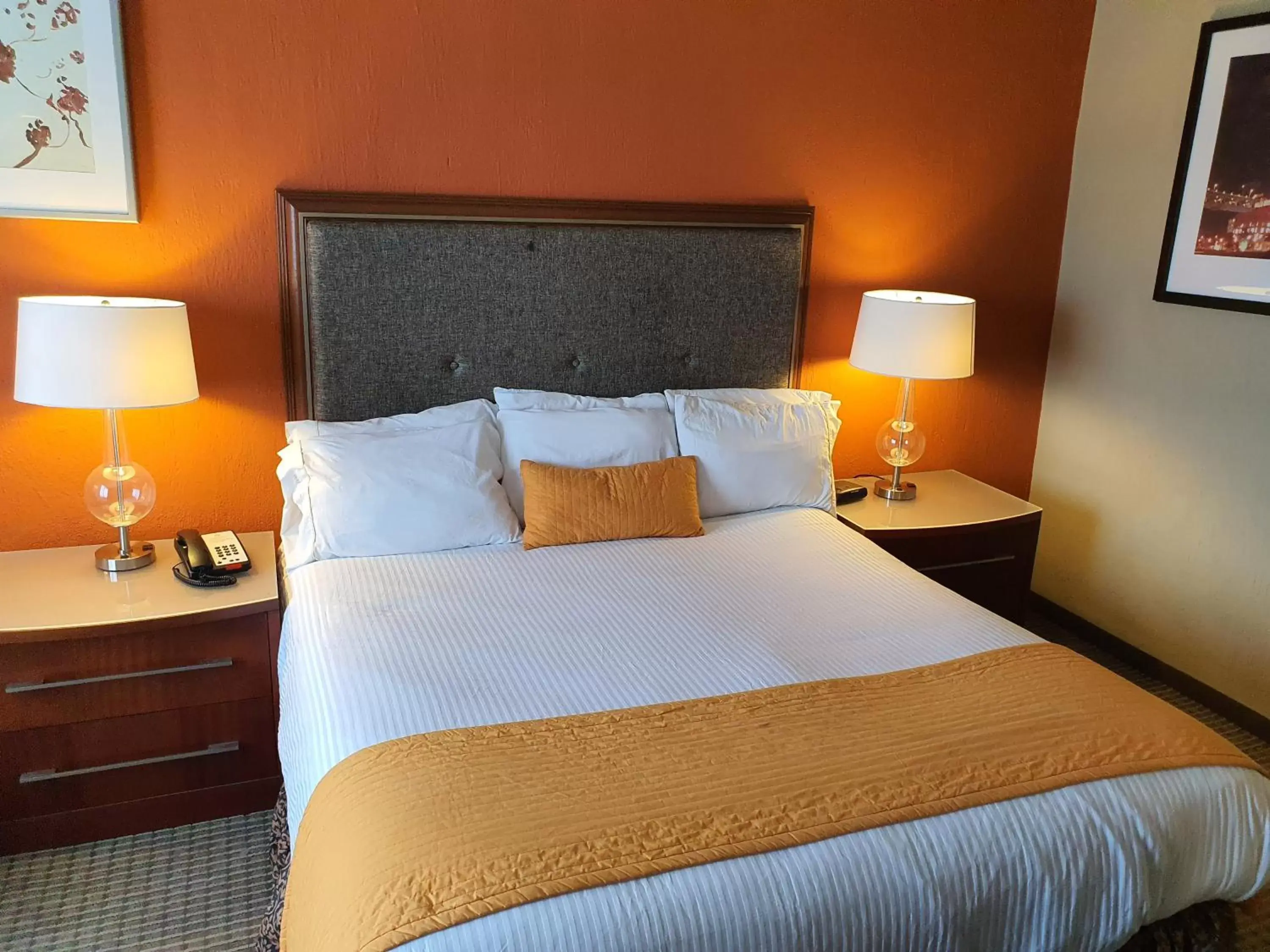 Bed in Hotel San Francisco Leon