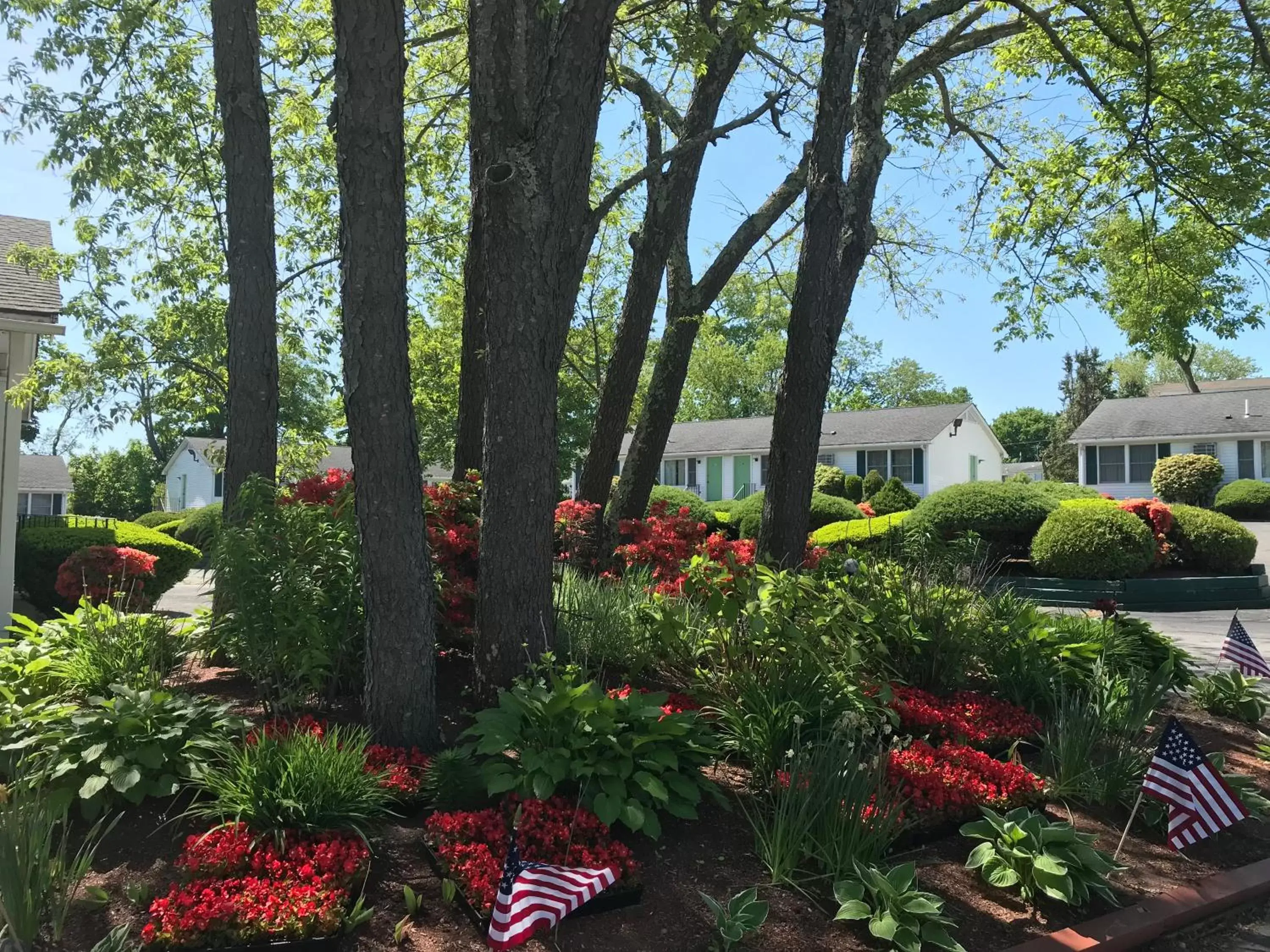 Garden in Founder's Brook Motel and Suites