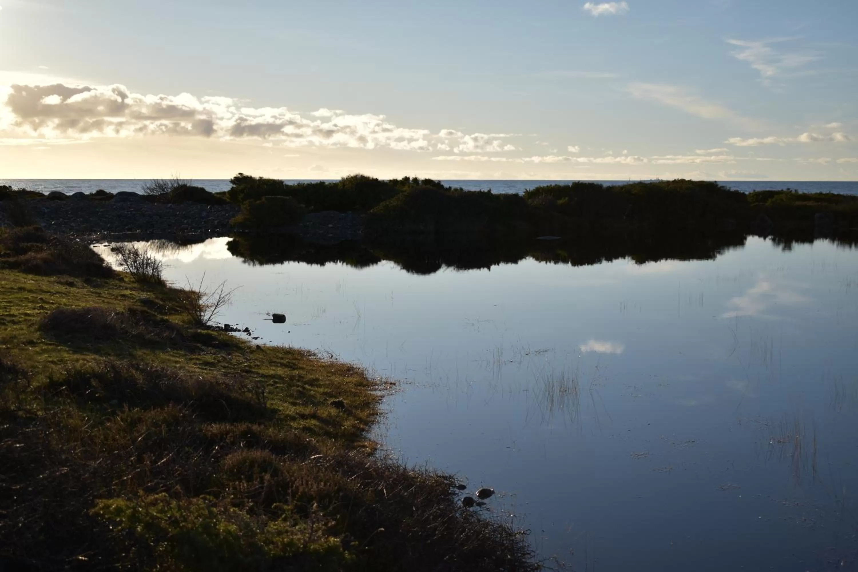 Natural landscape in Åsa Jutegård