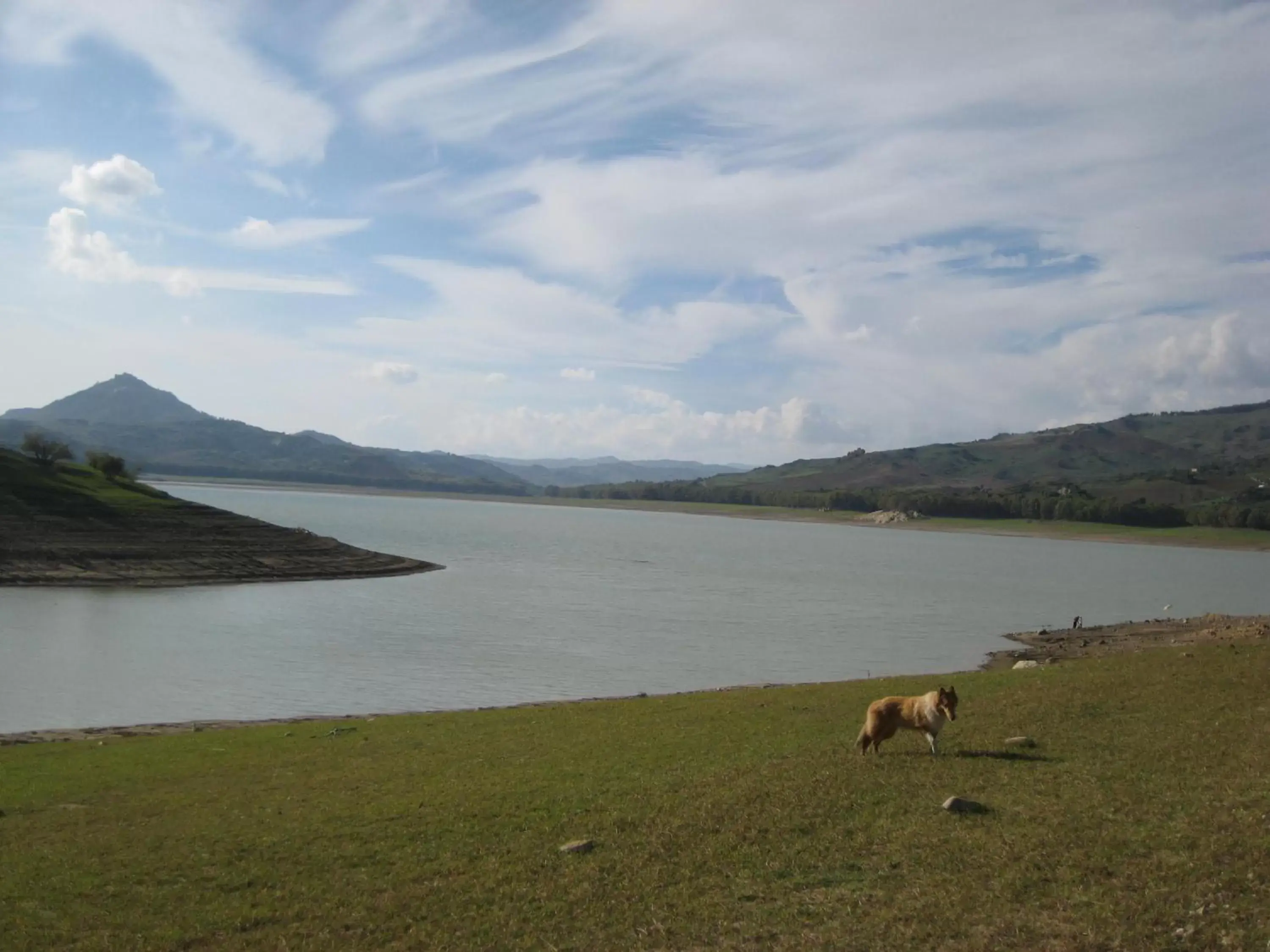 Fishing in Oasi del Lago