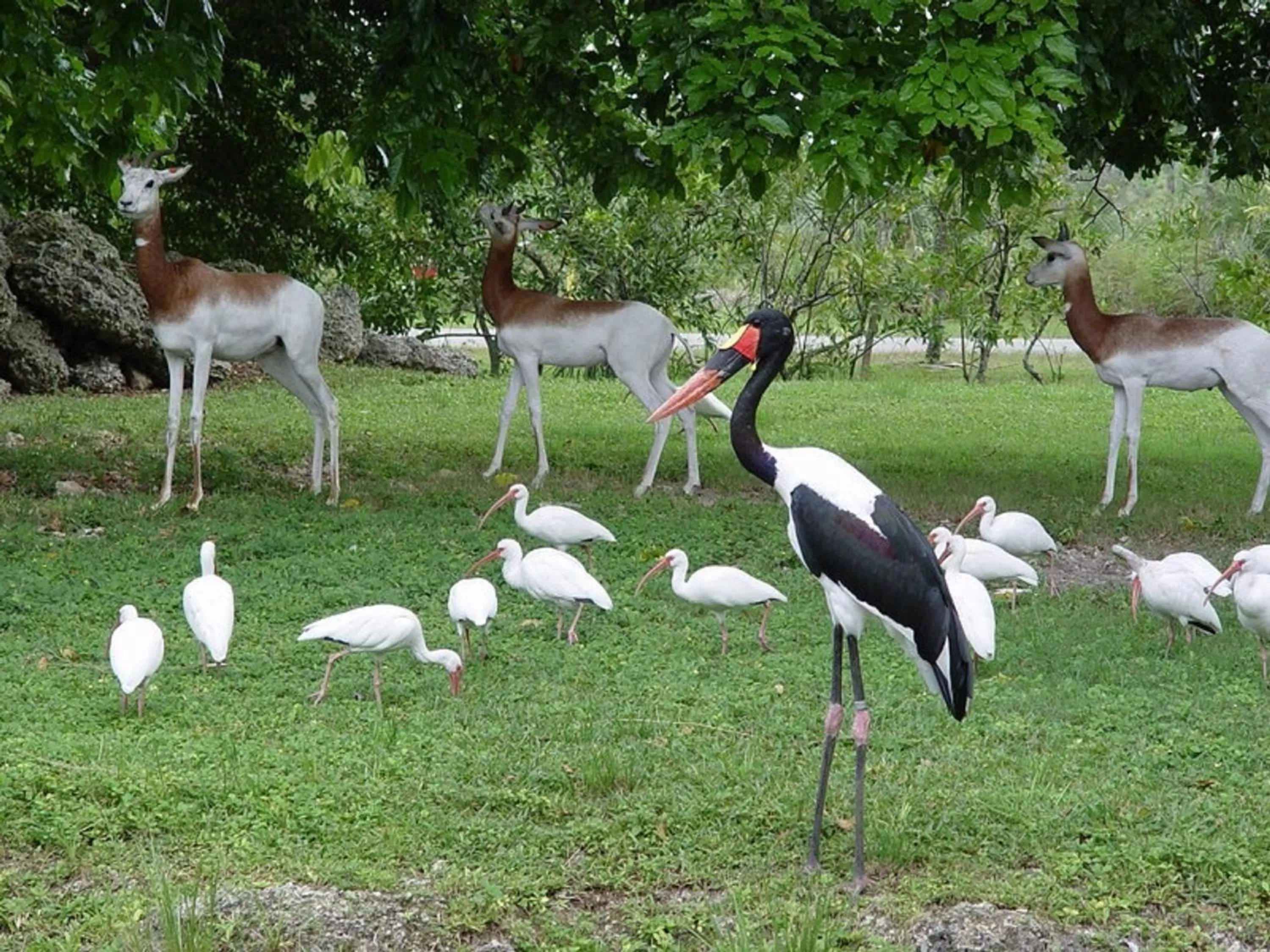 Other in Marrets International Hotel - "Express"