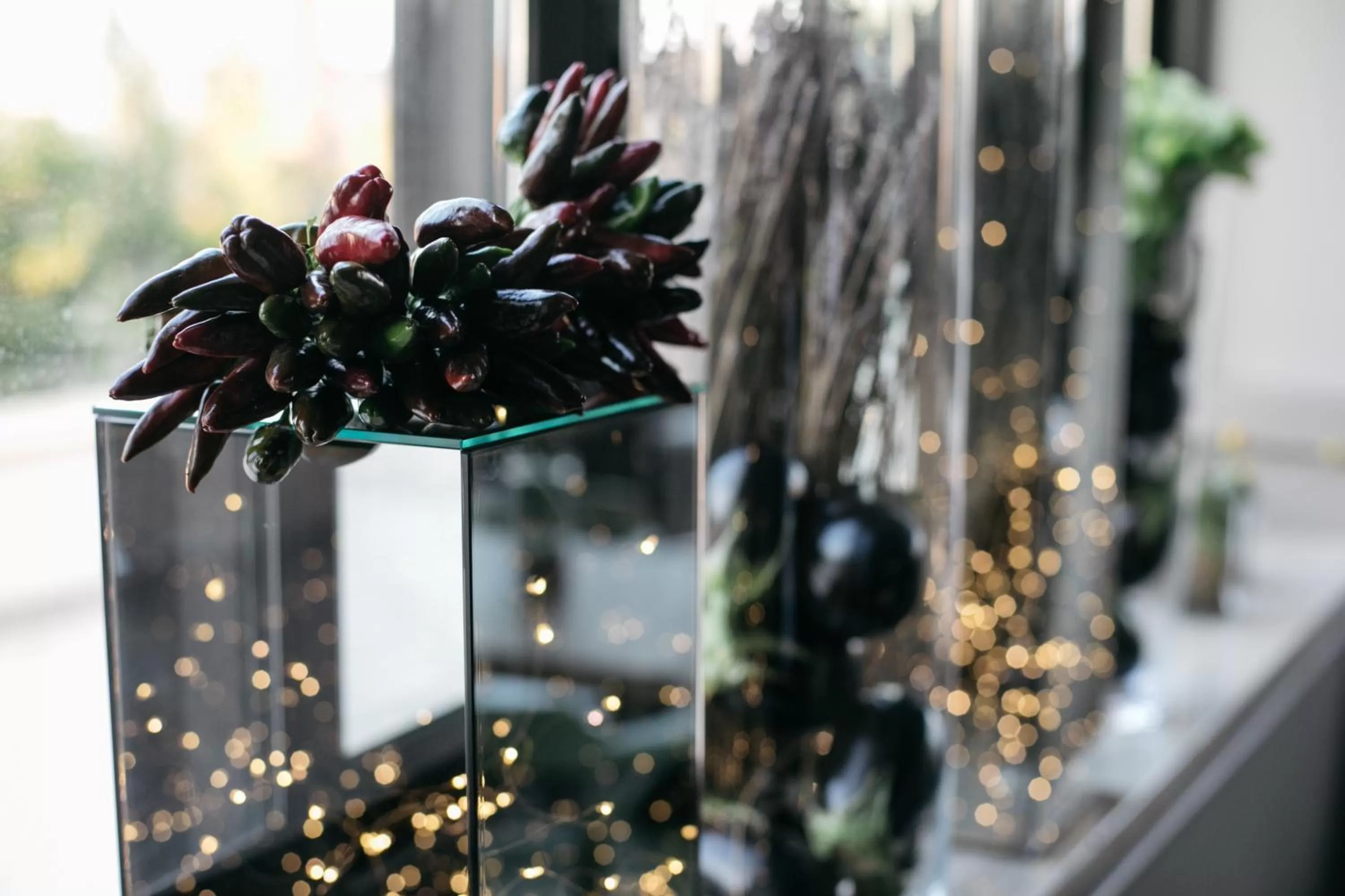 Garden in Hotel Aloisi