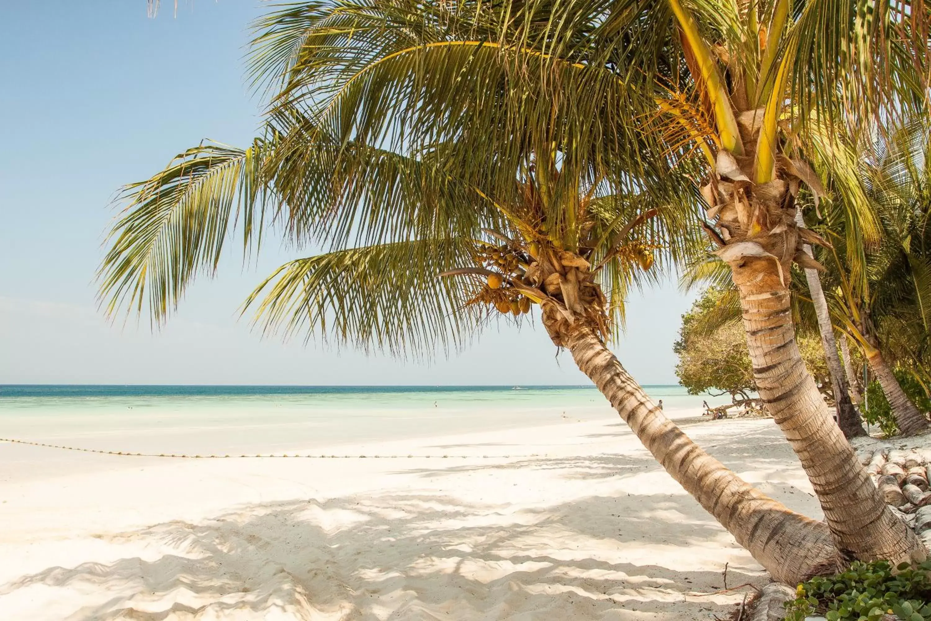 Natural landscape, Beach in Hotel Blanco Tulum