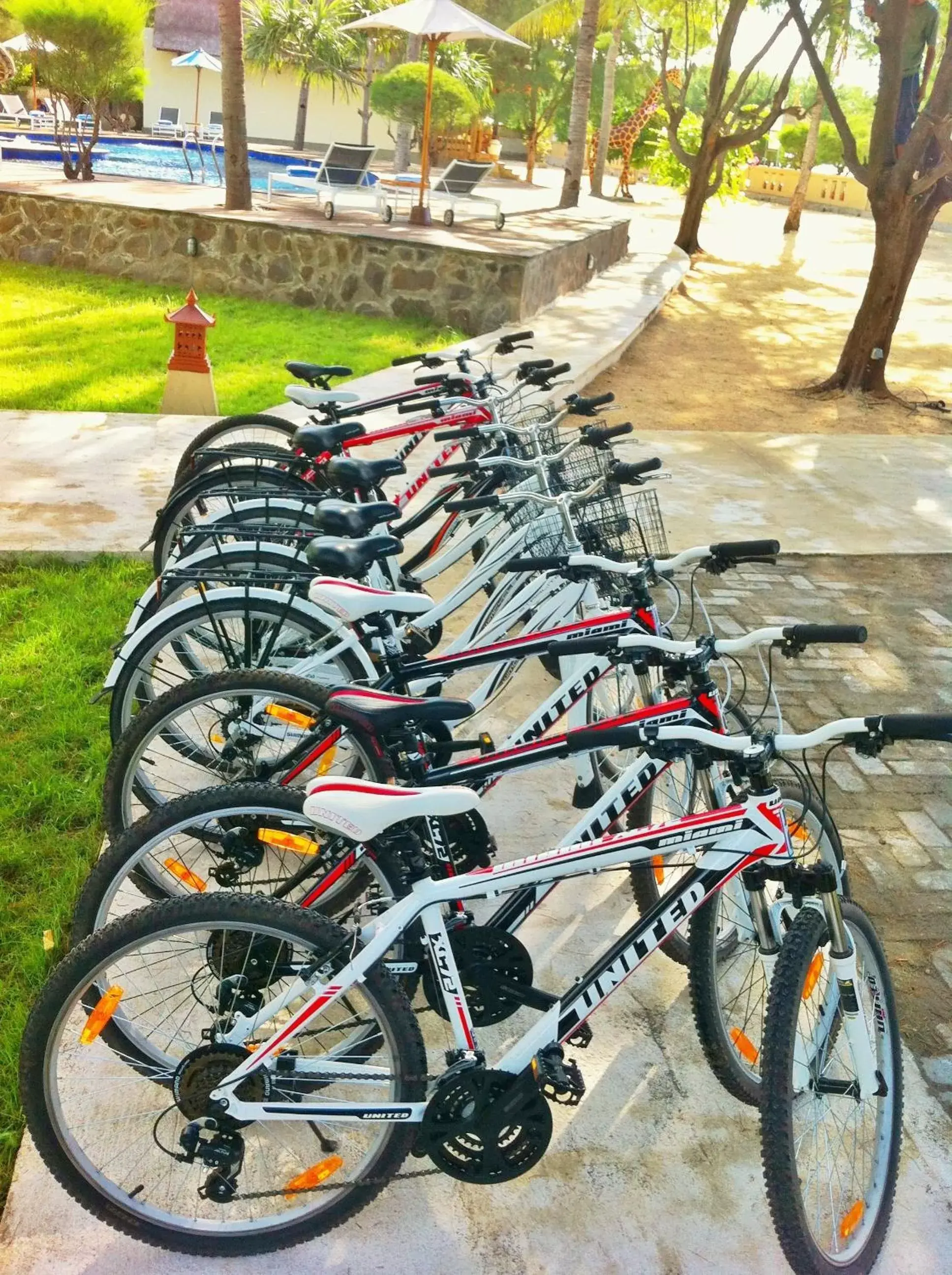 Cycling, Other Activities in Jambuluwuk Oceano Gili Trawangan