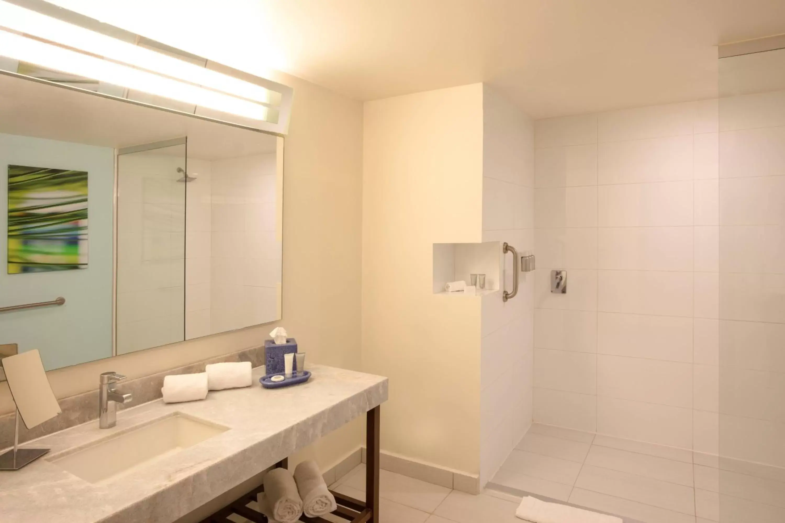 Bathroom in Courtyard by Marriott Queretaro