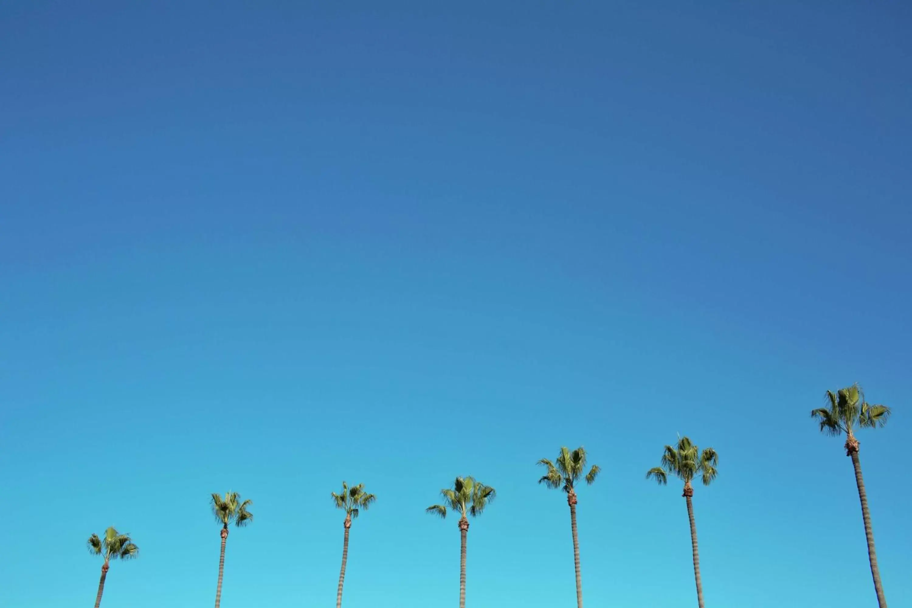 Beach in Hilton Anaheim