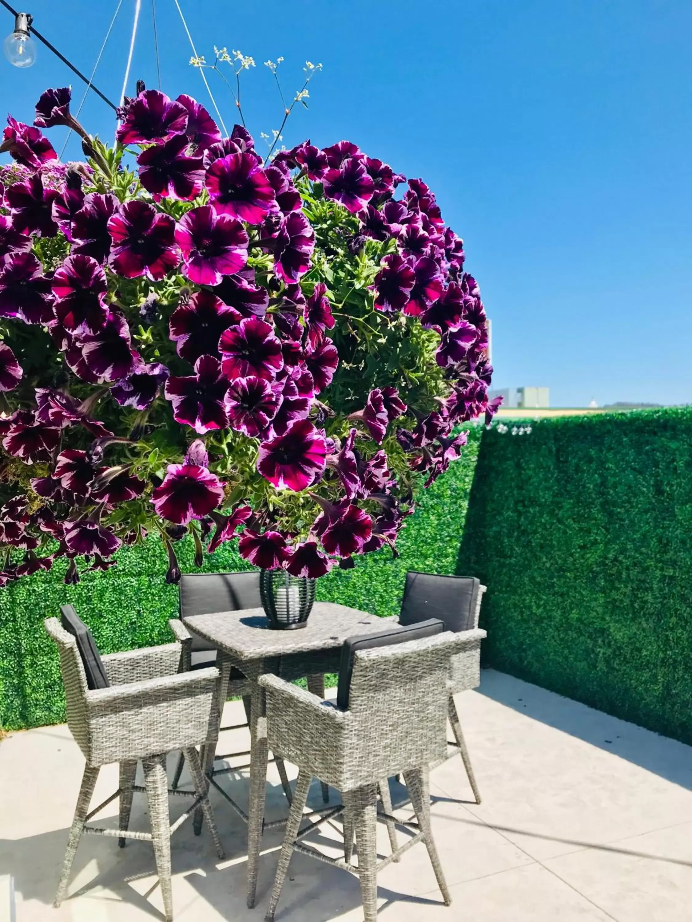 Garden in EO Bungalows, Black Hills