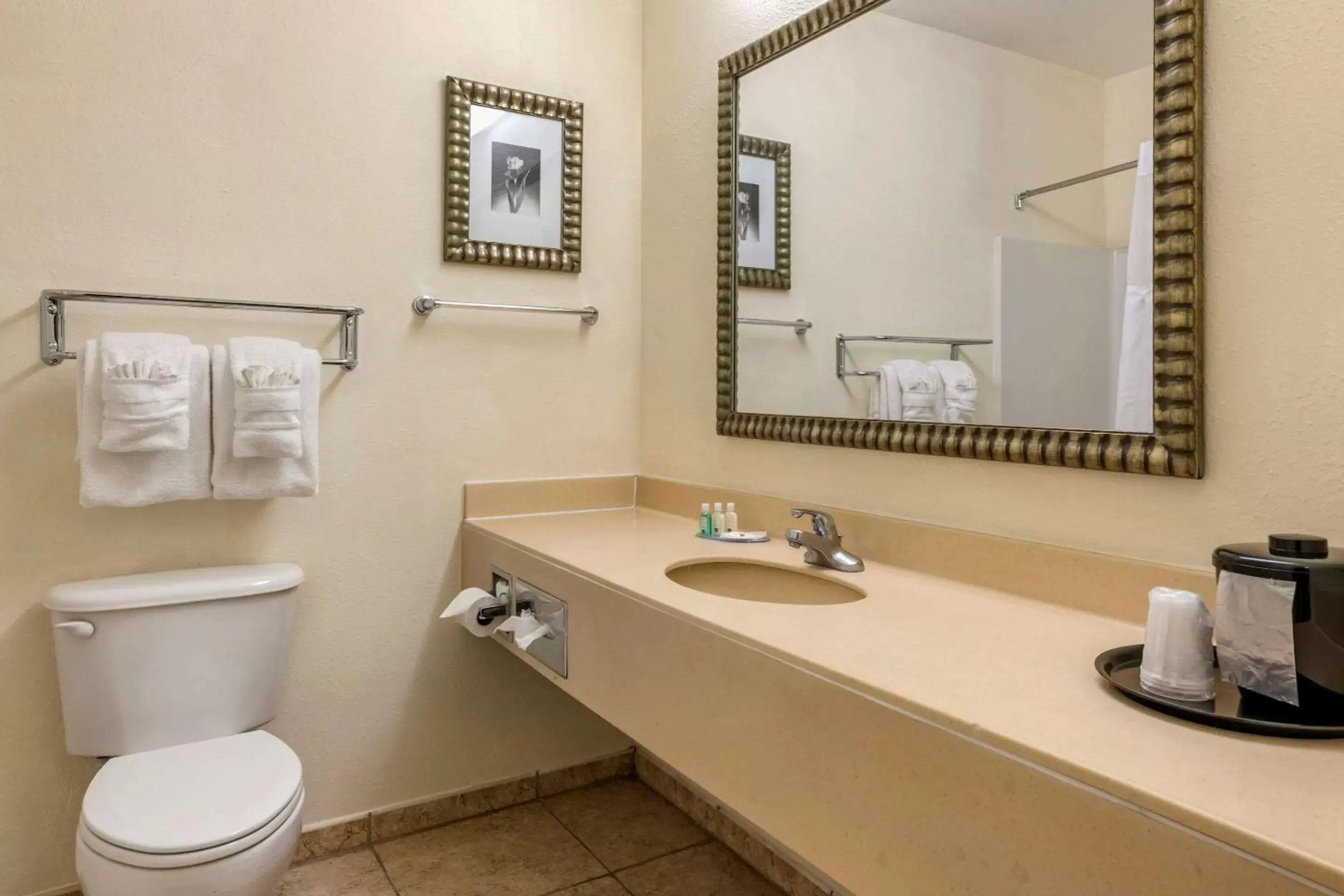 Photo of the whole room, Bathroom in Quality Inn Zephyrhills-Dade City