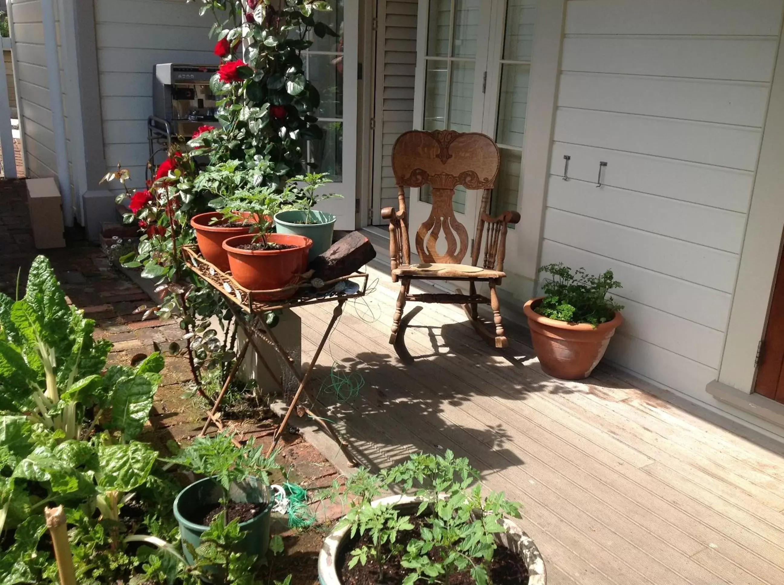 Garden in Kippilaw House