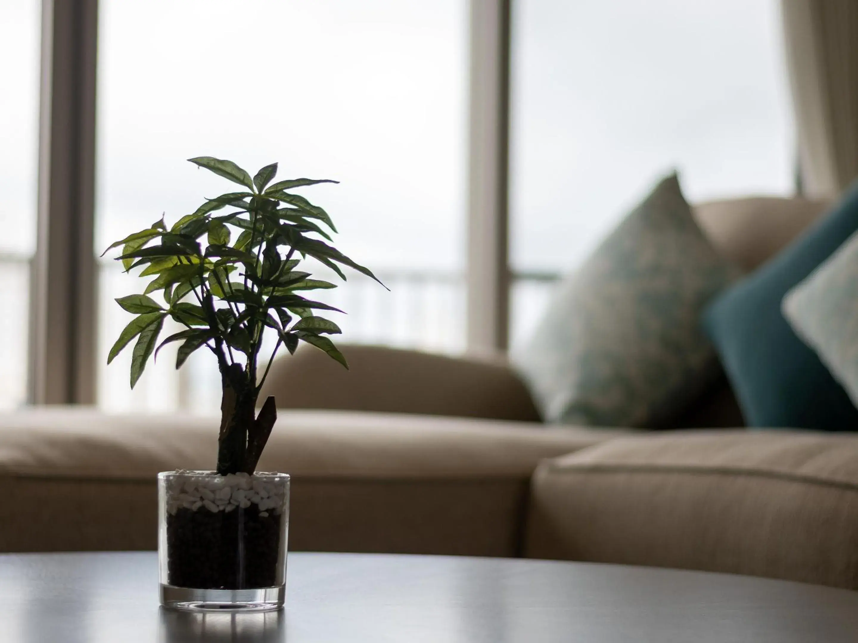 Living room, Seating Area in Cozy Stay in Naha