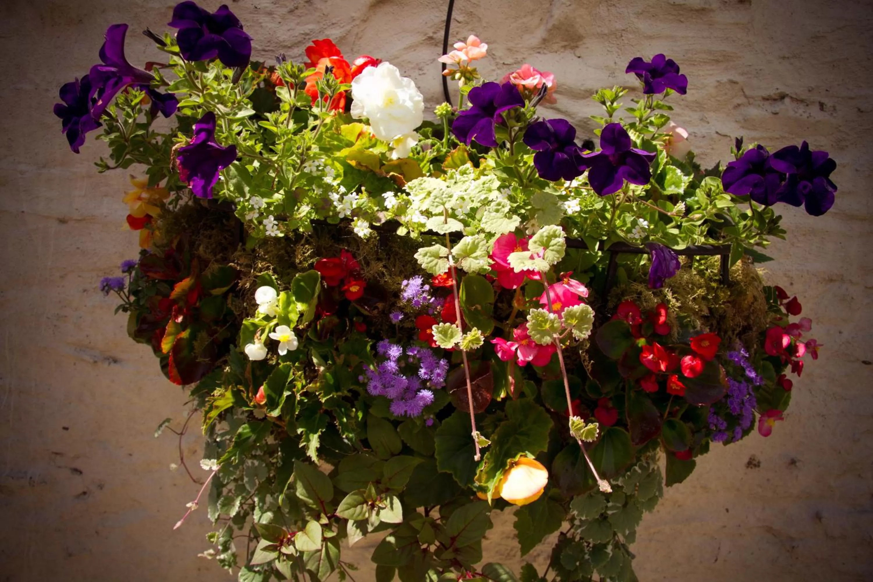 Decorative detail in Station Inn B&B