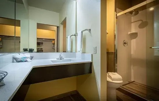 Bathroom in The Mill Casino Hotel