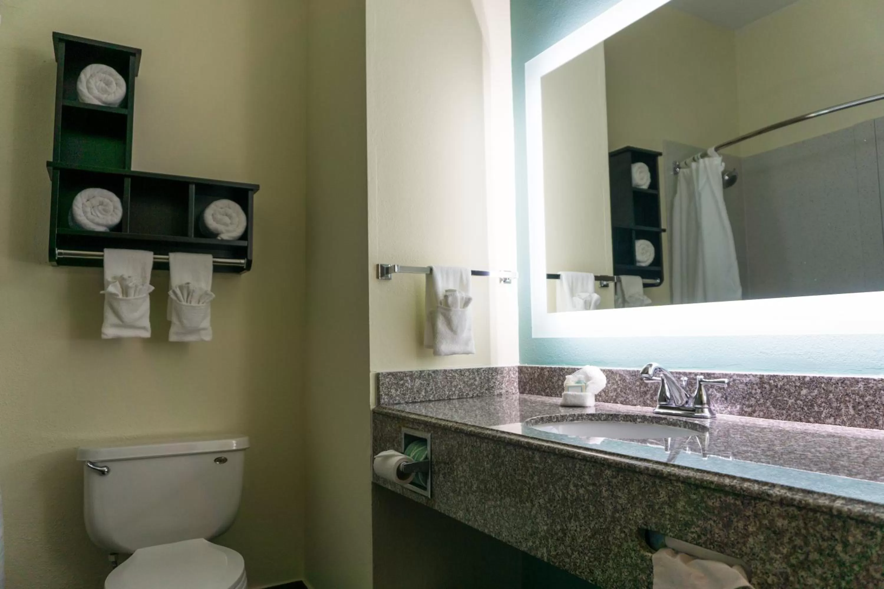 Bathroom in Best Western Mayport Inn and Suites