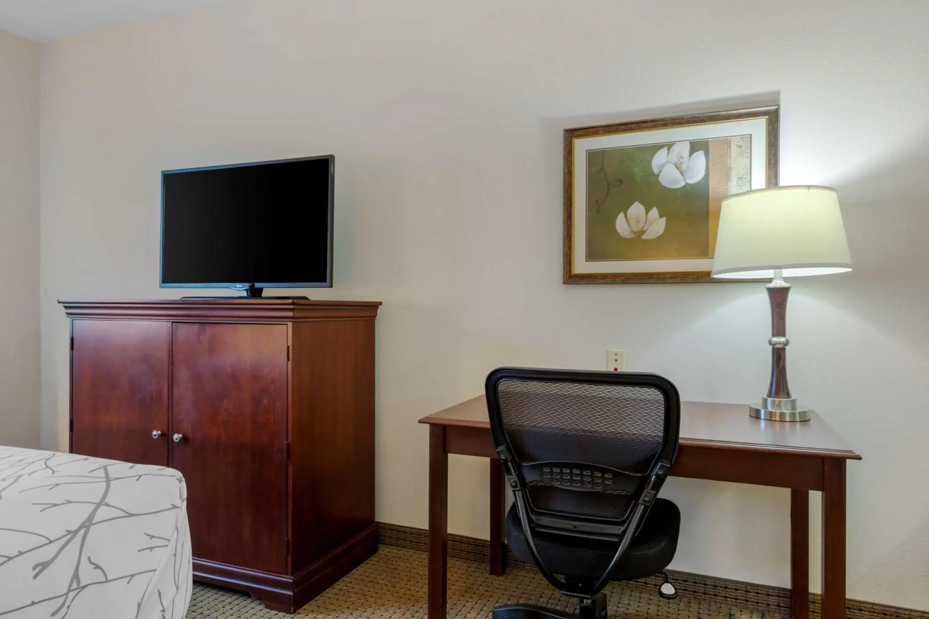 Bedroom, TV/Entertainment Center in Best Western Plus Sweetwater Inn & Suites Bedroom, TV/Entertainment Center in Best Western Plus Sweetwater Inn & Suites