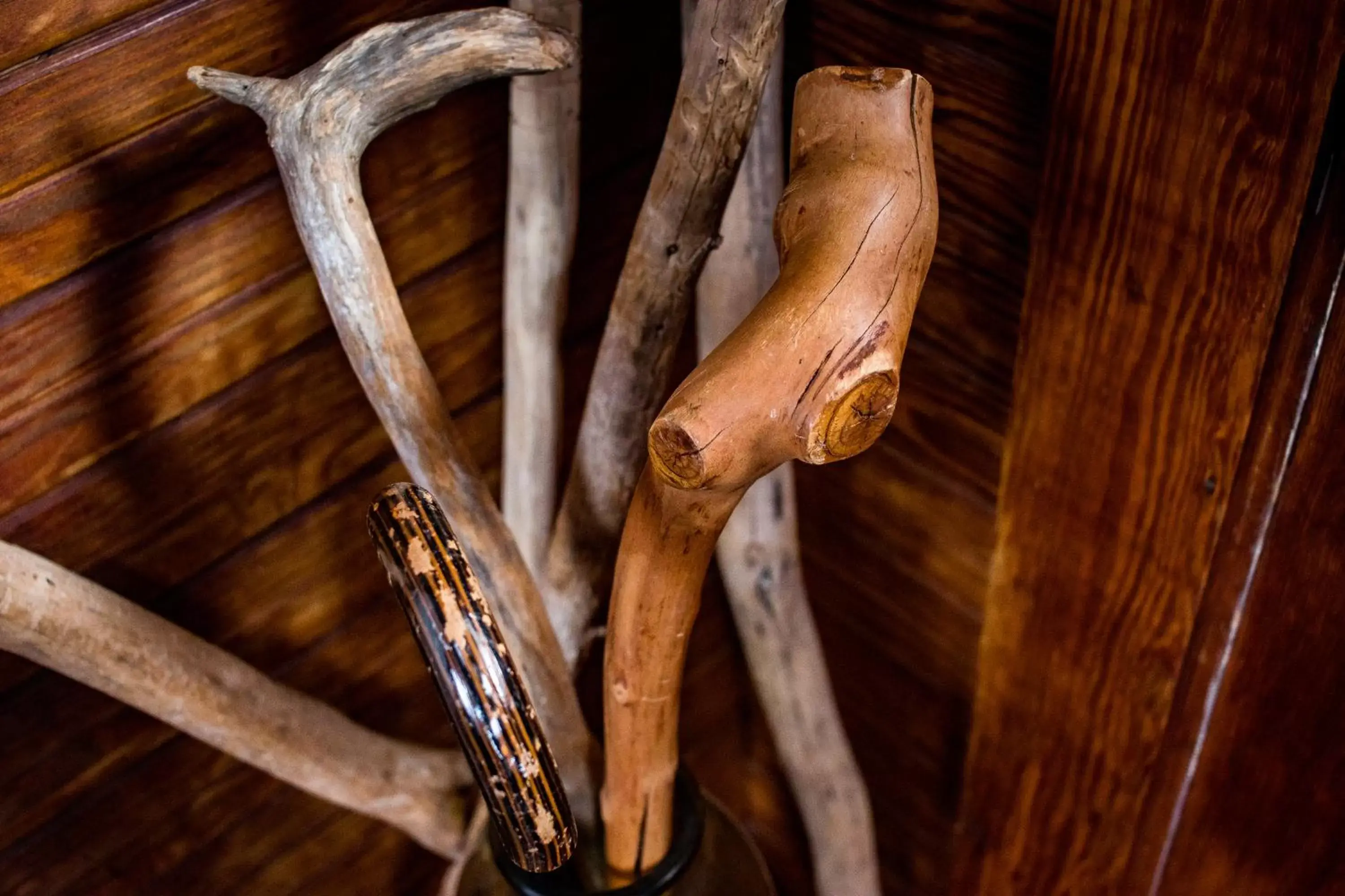 Decorative detail, Other Animals in The Craignair Inn & Causeway Restaurant