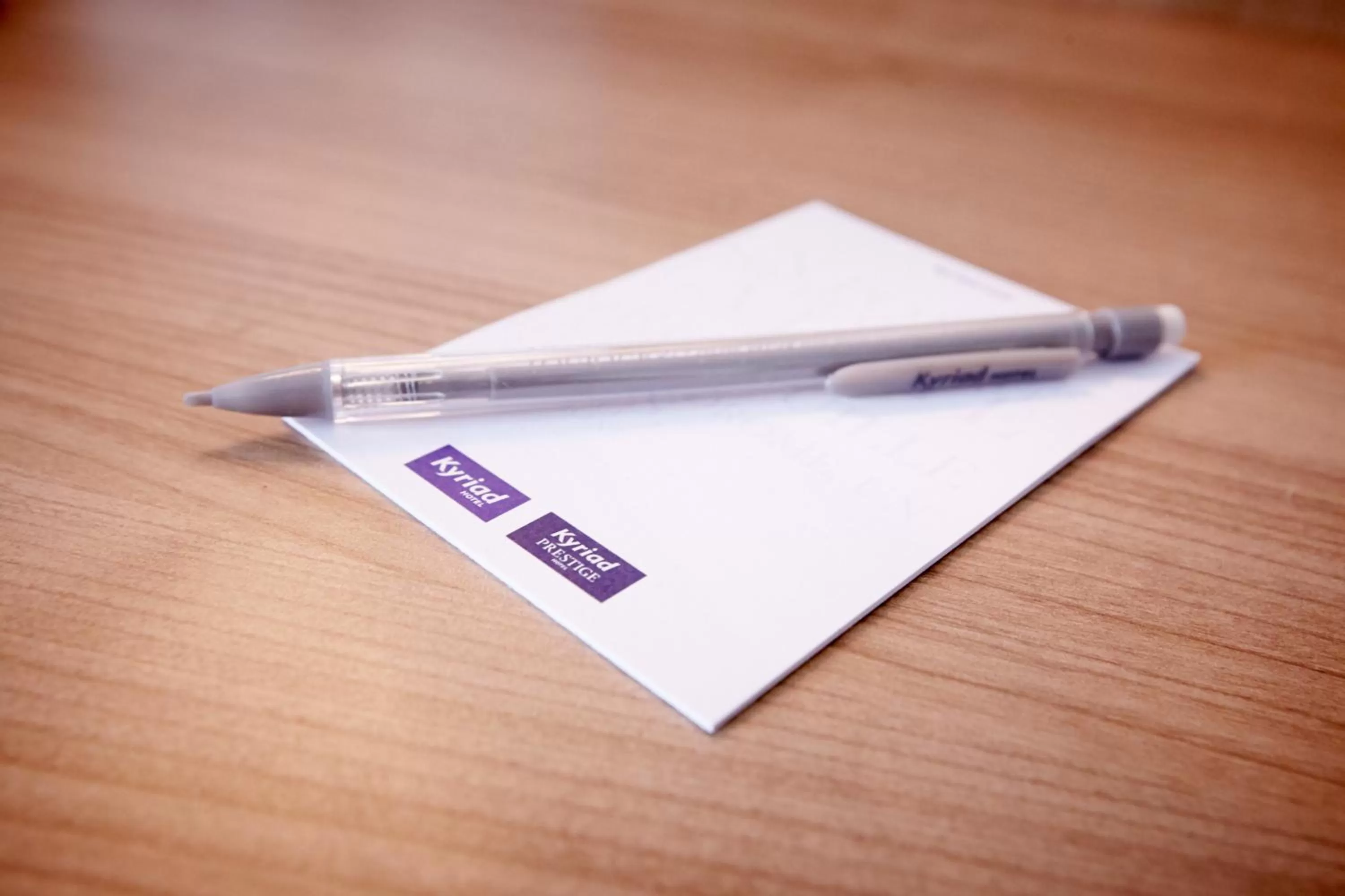 Business facilities in Kyriad Angers Ouest Beaucouzé