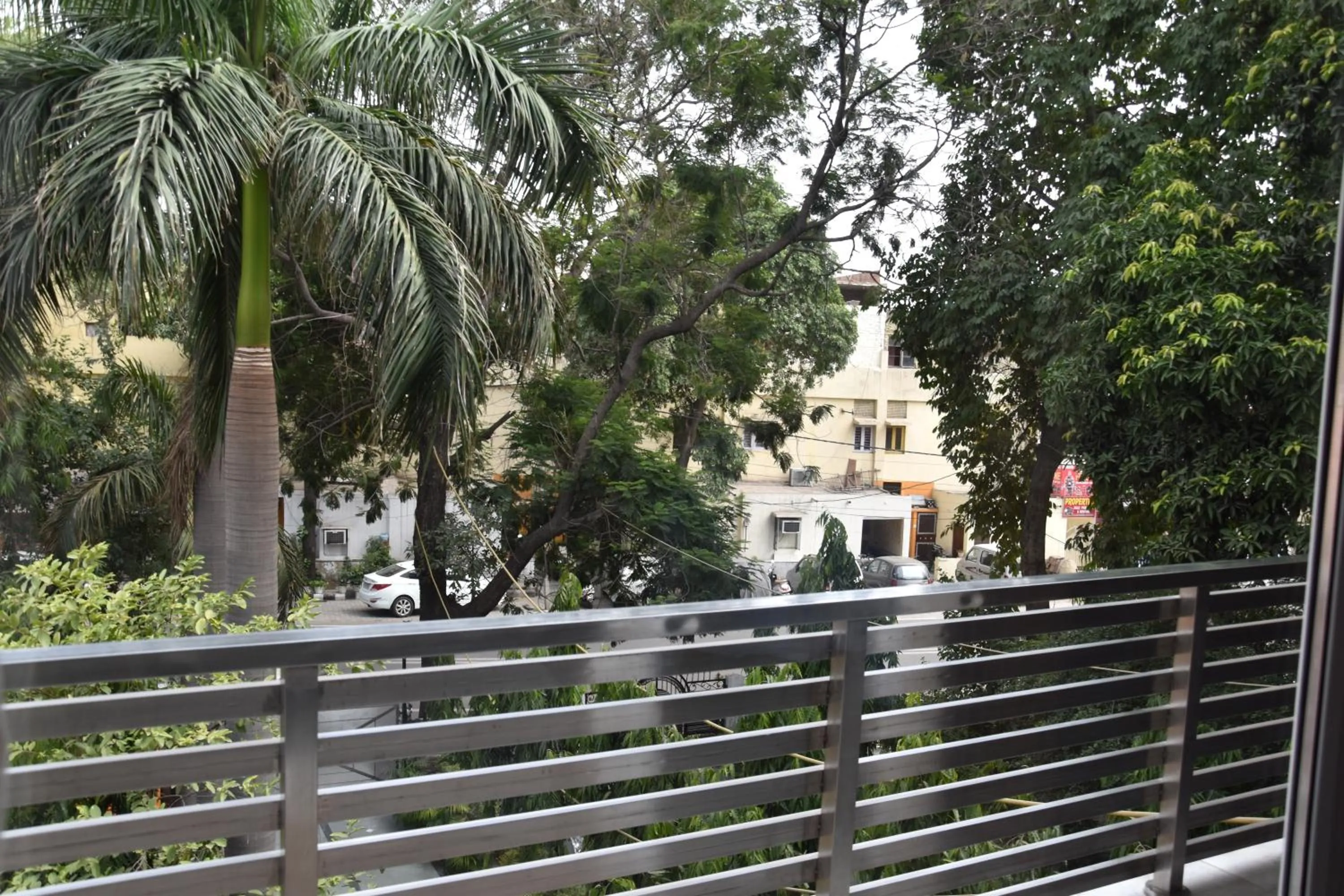 Day in Wood Castle Grand