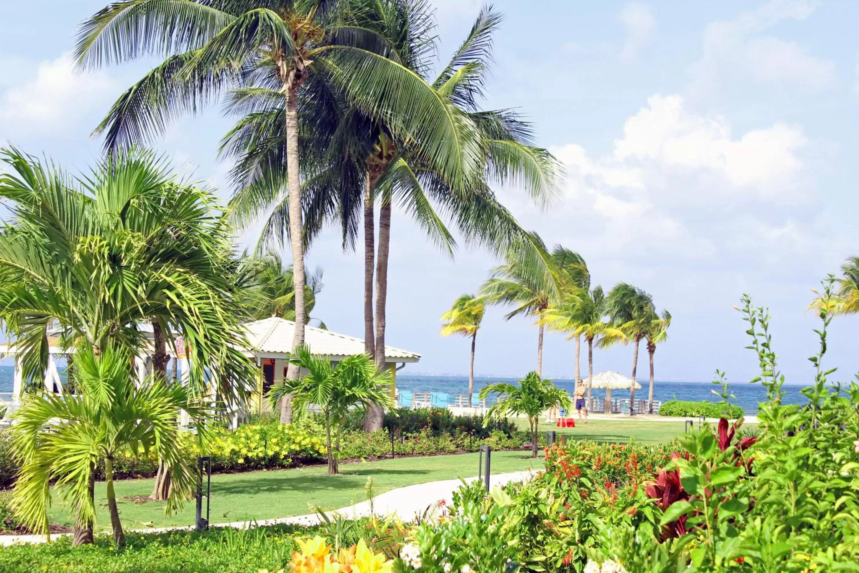 Other in Holiday Inn Resort Grand Cayman, an IHG Hotel