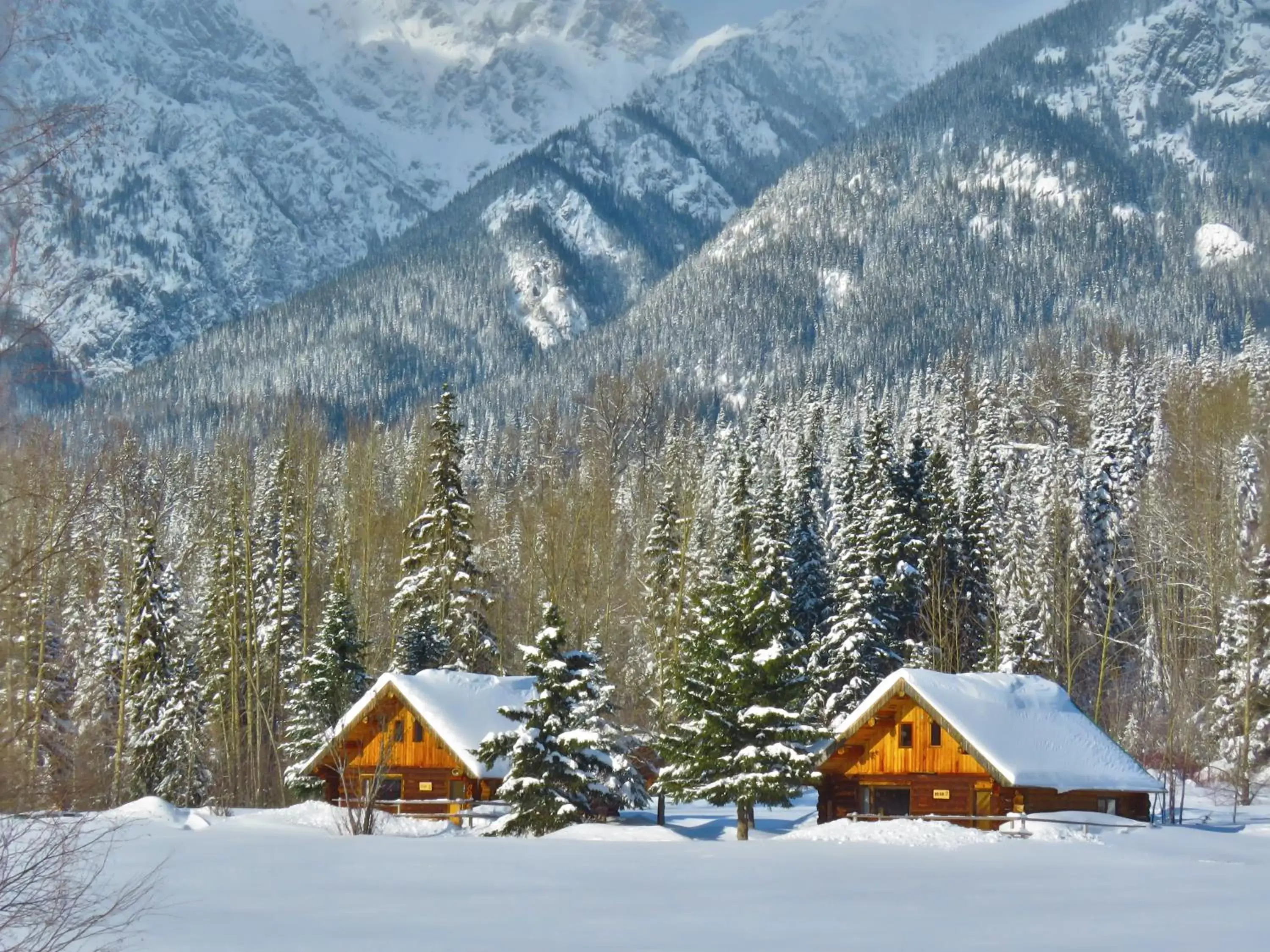 Mountain view, Winter in Rocky Ridge Resort-BC
