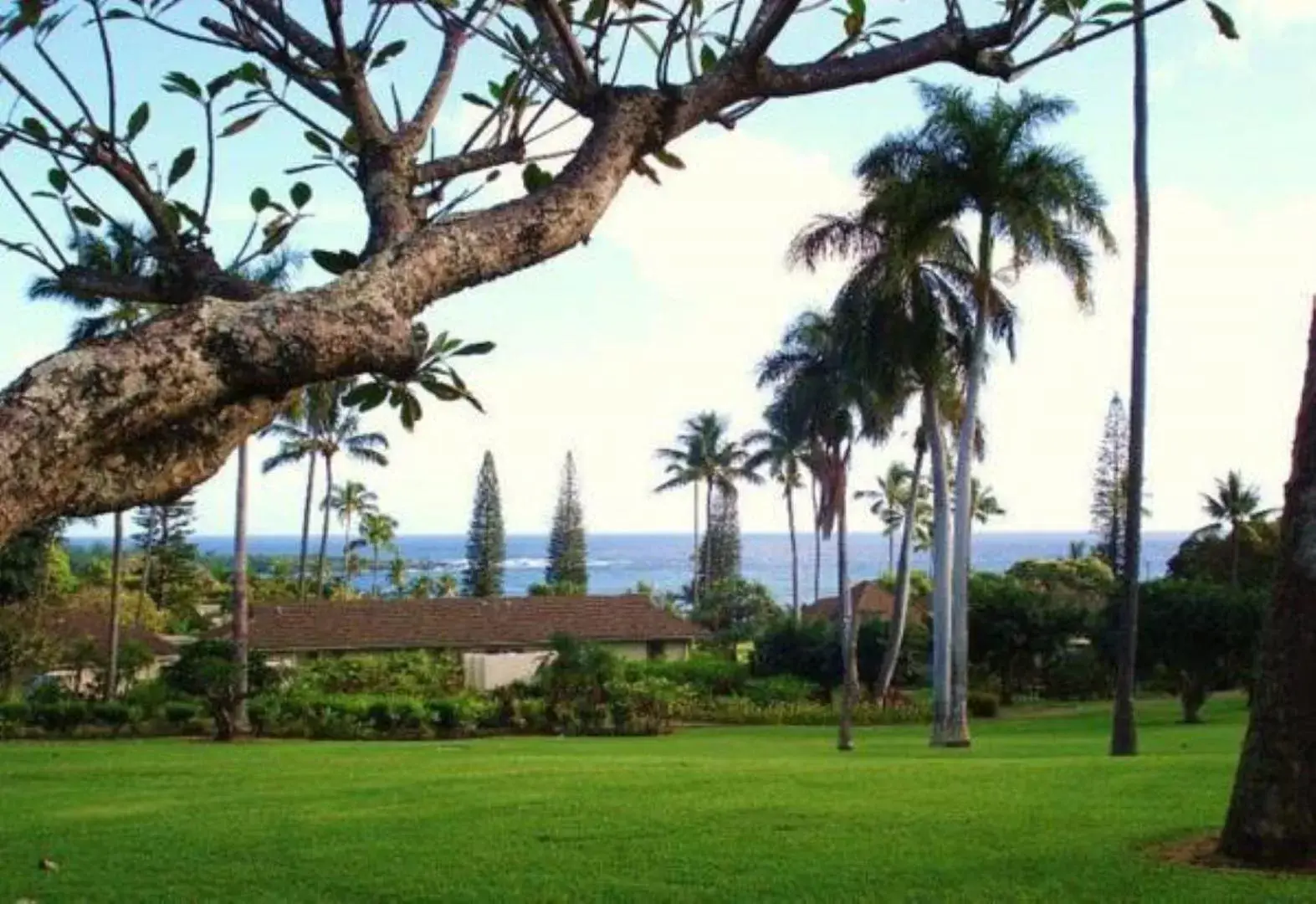 Garden in Hana-Maui Resort, a Destination by Hyatt Residence