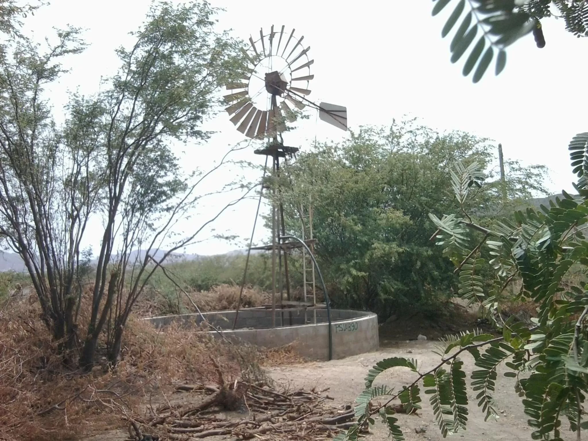 Day in Villa Morabeza Guest House