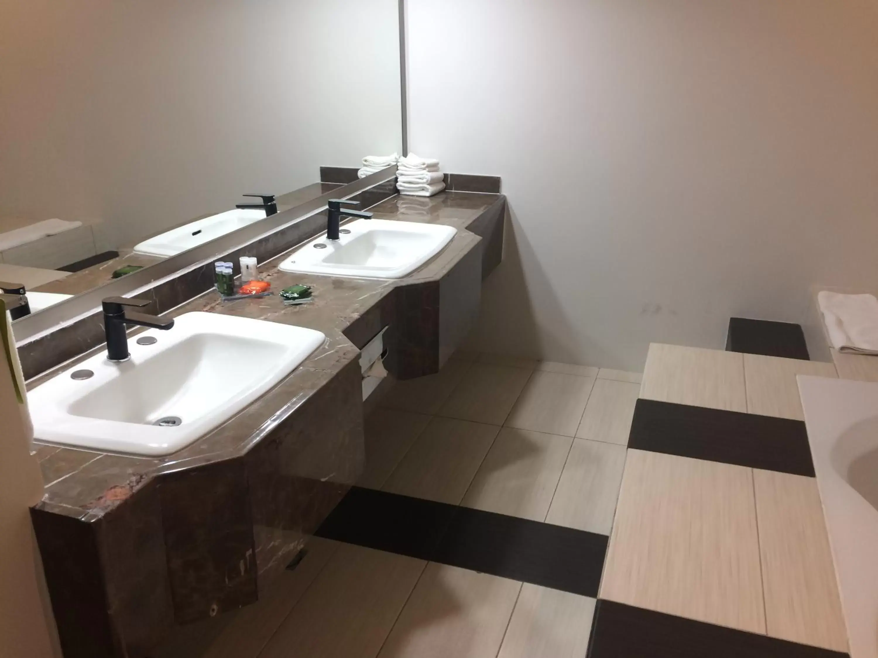 Bath, Bathroom in Radisson Hotel & Convention Center Toluca