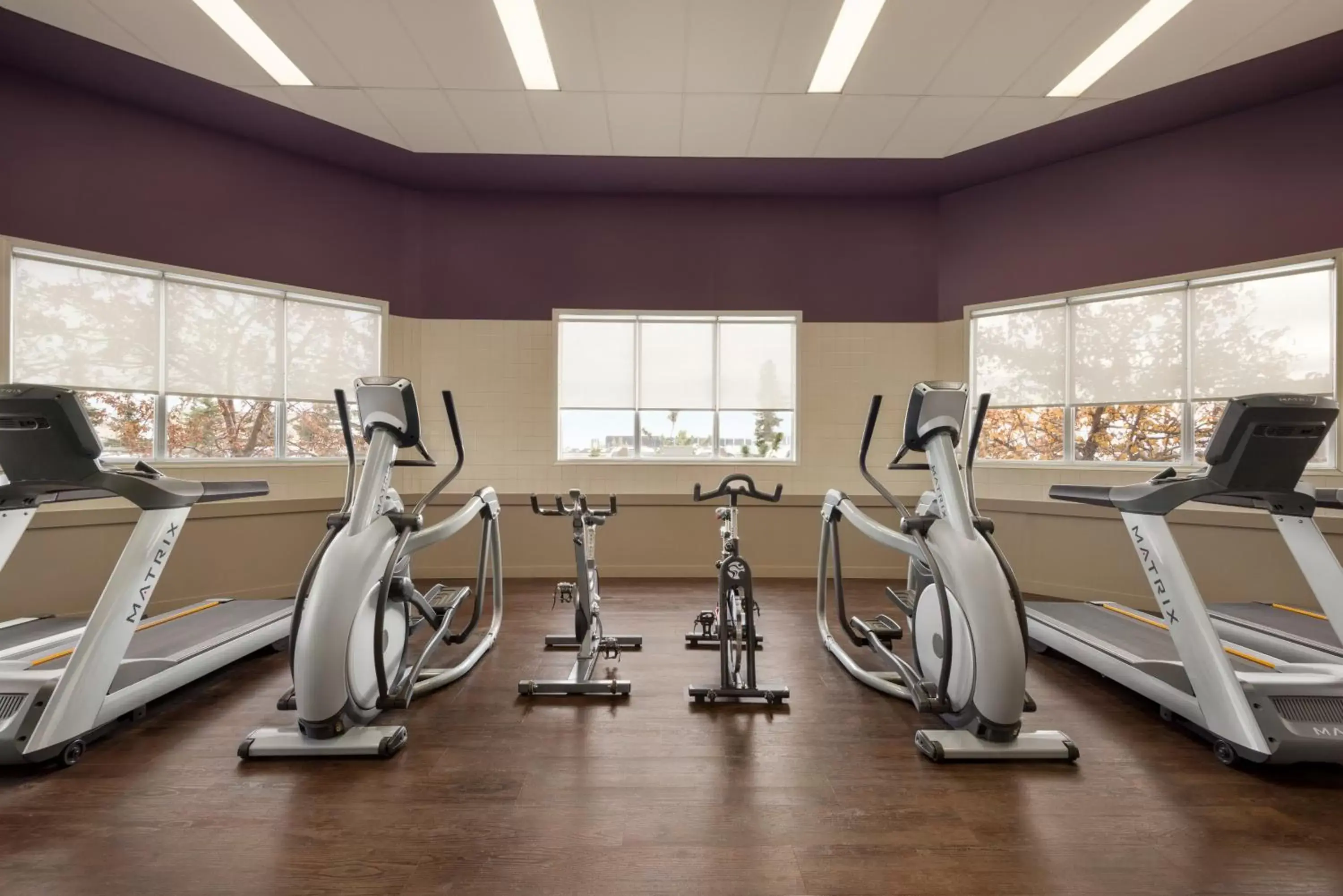 Fitness centre/facilities, Fitness Center/Facilities in Royal Hotel Edmonton Airport Trademark Collection By Wyndham