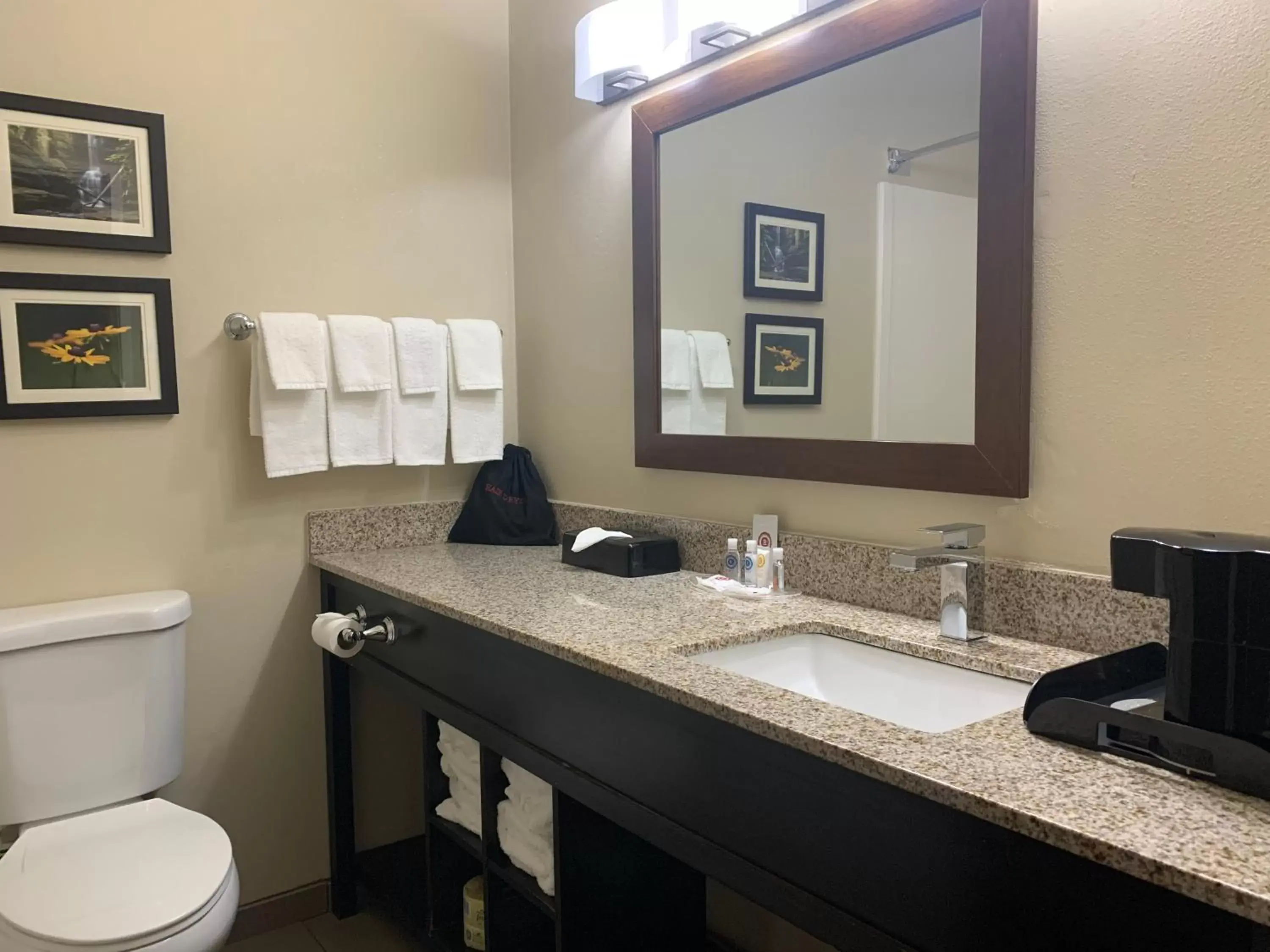 Bed, Bathroom in Comfort Suites Peoria I-74