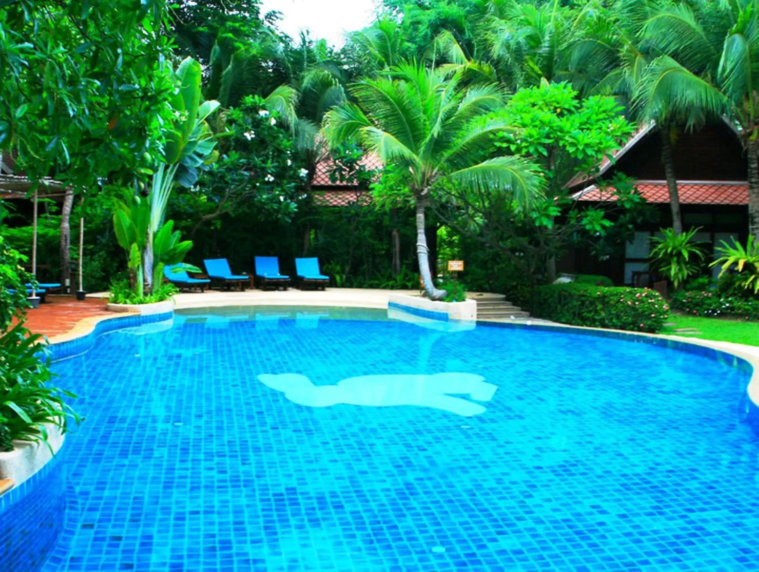 Swimming pool in Rabbit Resort Pattaya Swimming pool in Rabbit Resort Pattaya