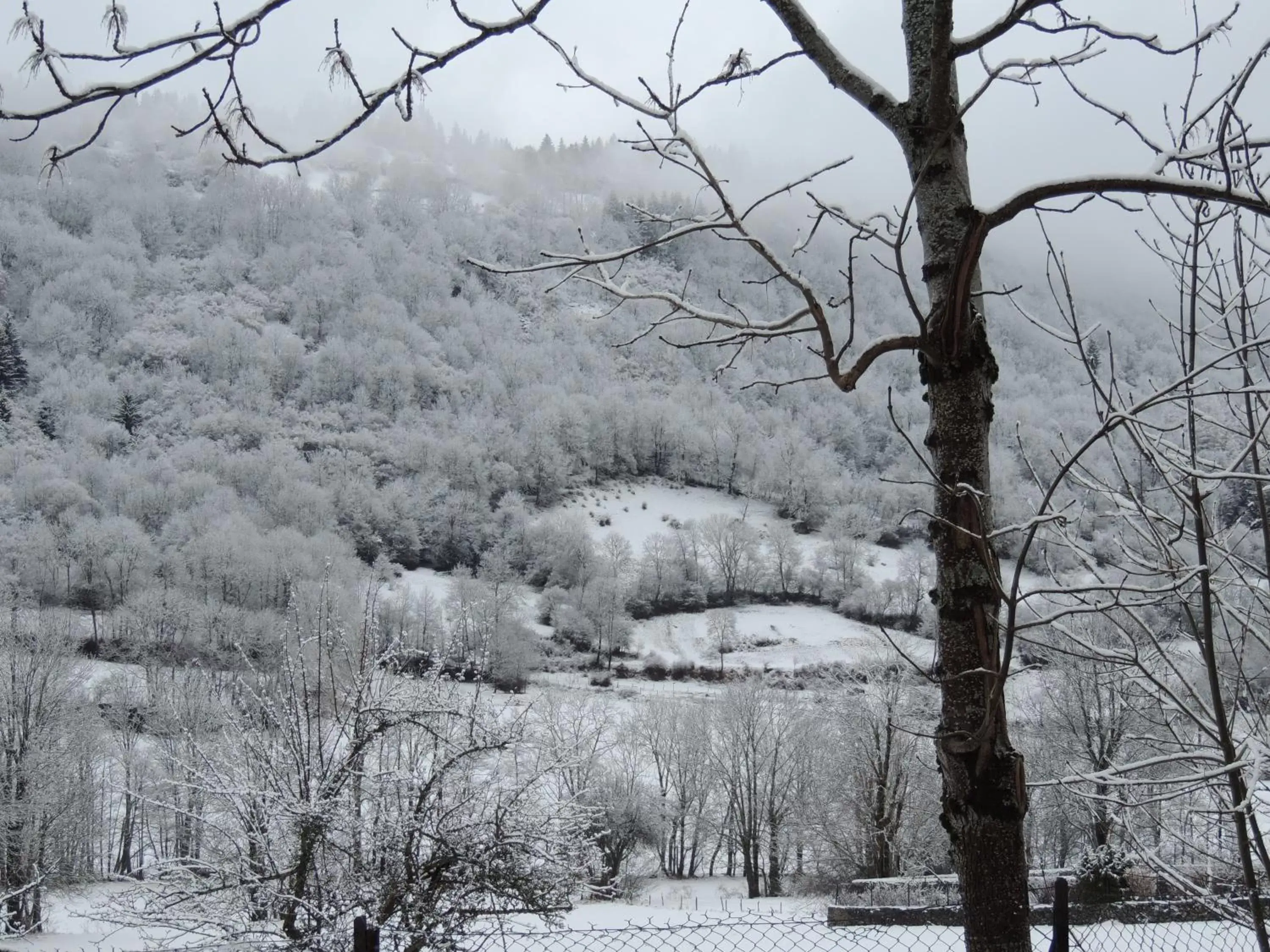 View (from property/room), Winter in Hôtel Restaurant du Plomb du Cantal