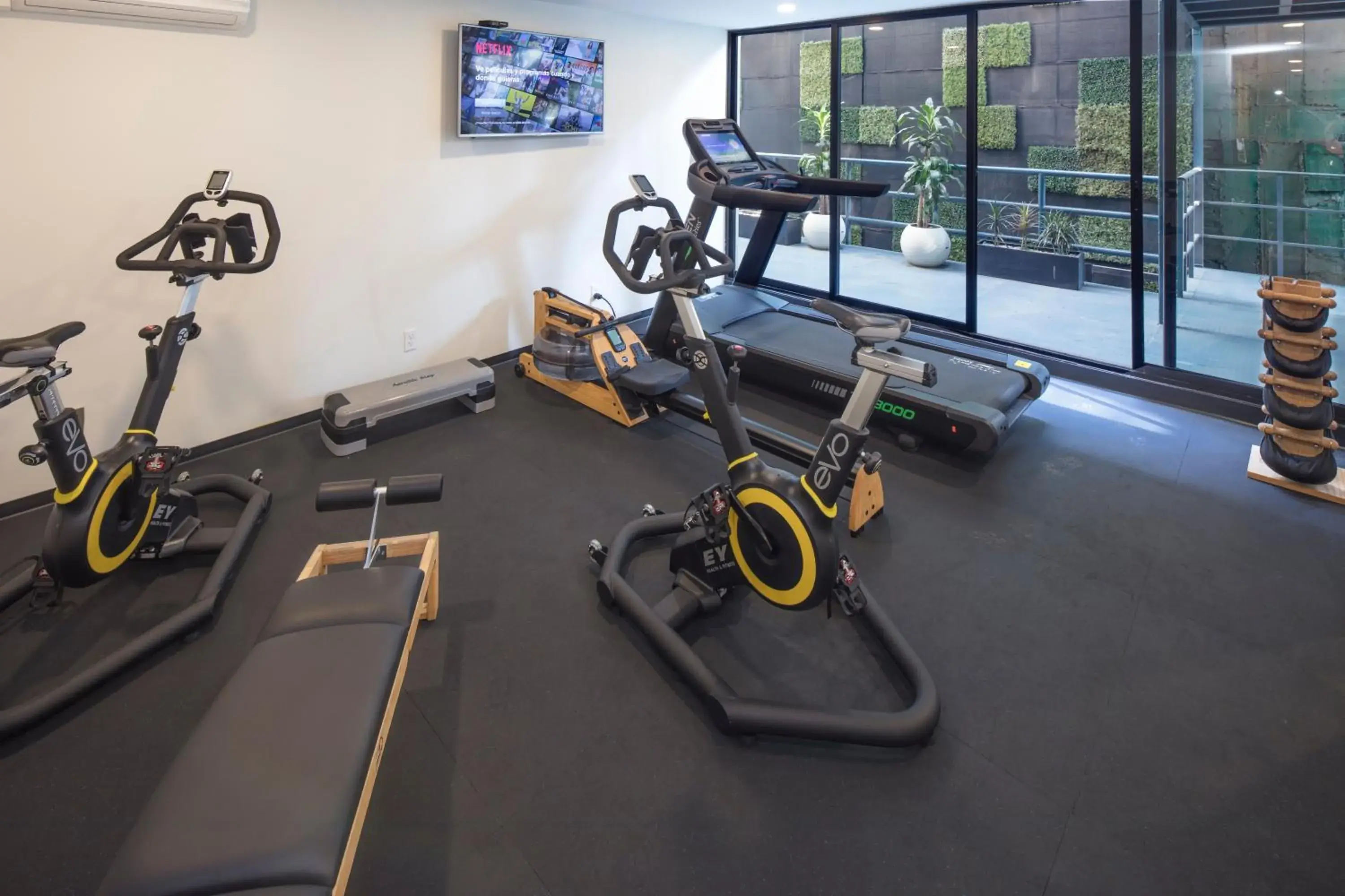 Activities, Fitness Center/Facilities in FlowSuites Condesa - Adults Only