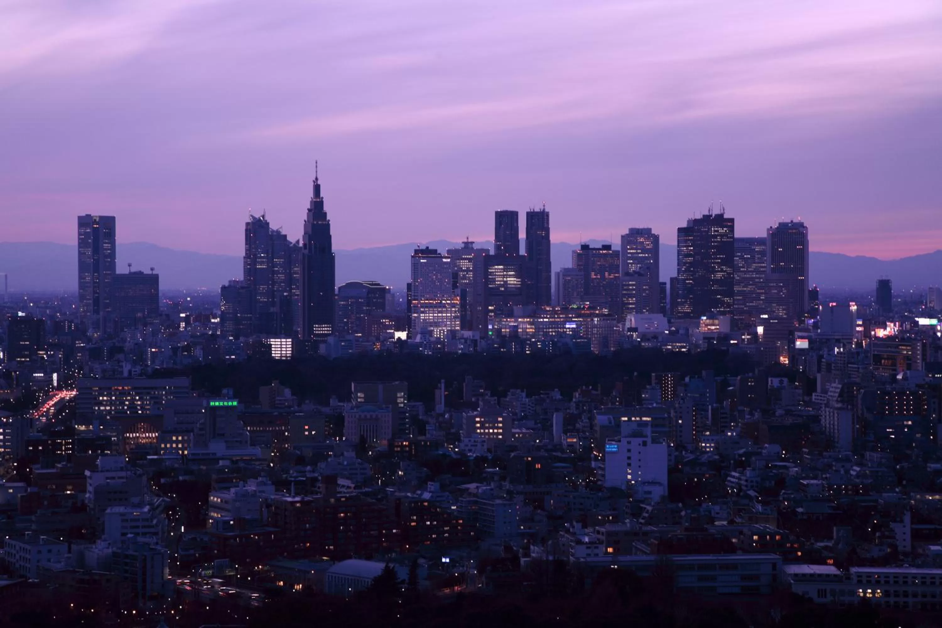 City view in Hotel New Otani Tokyo Garden Tower