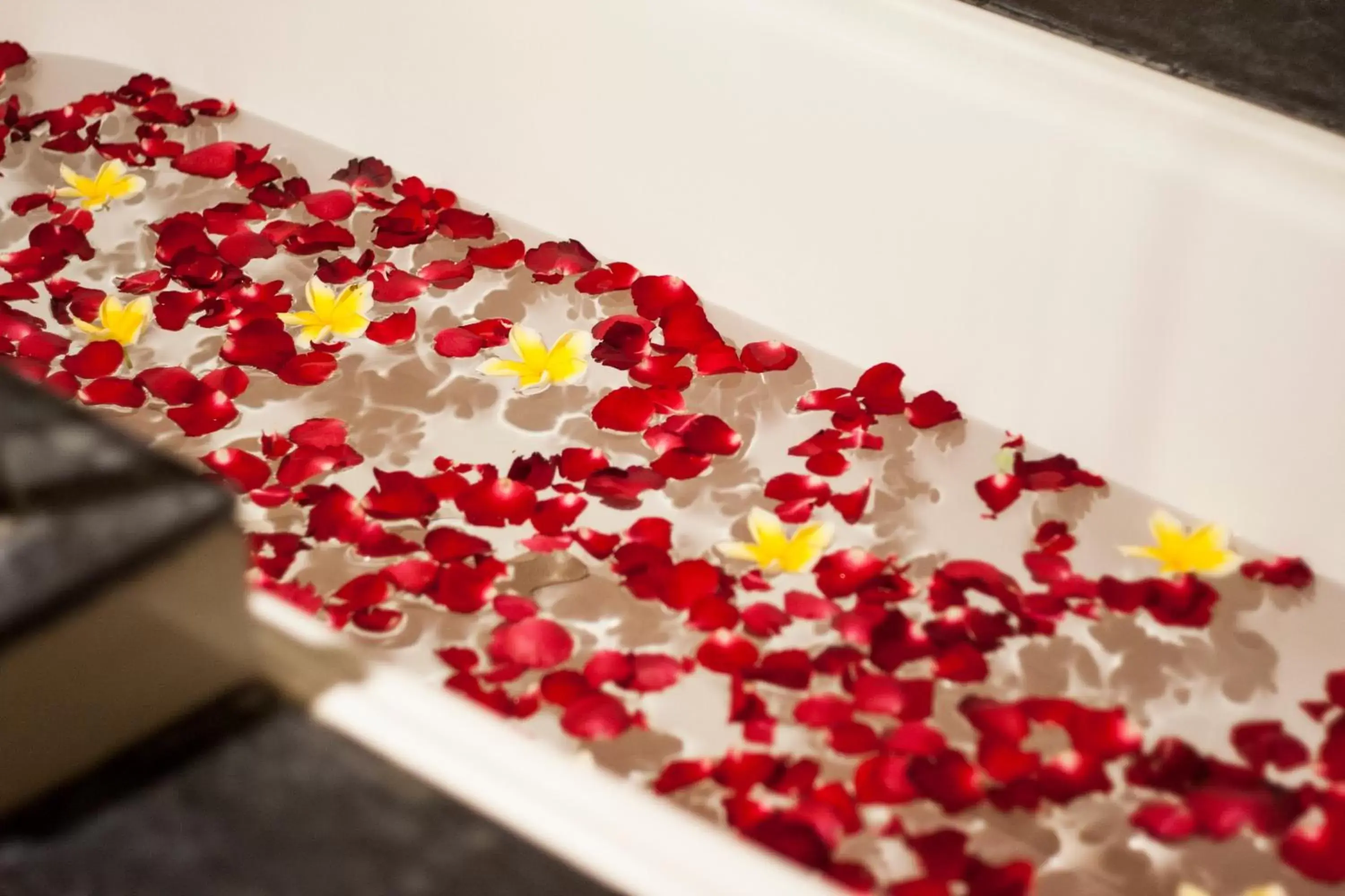 Bathroom in Swiss-Belhotel Rainforest