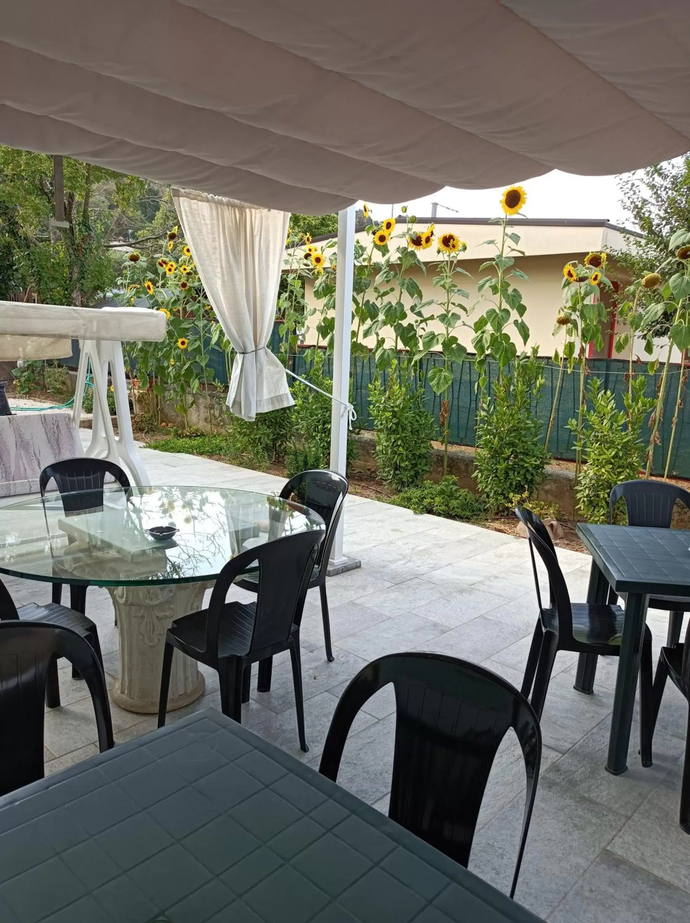 Patio, Restaurant/Places to Eat in Riflessi d'Arte