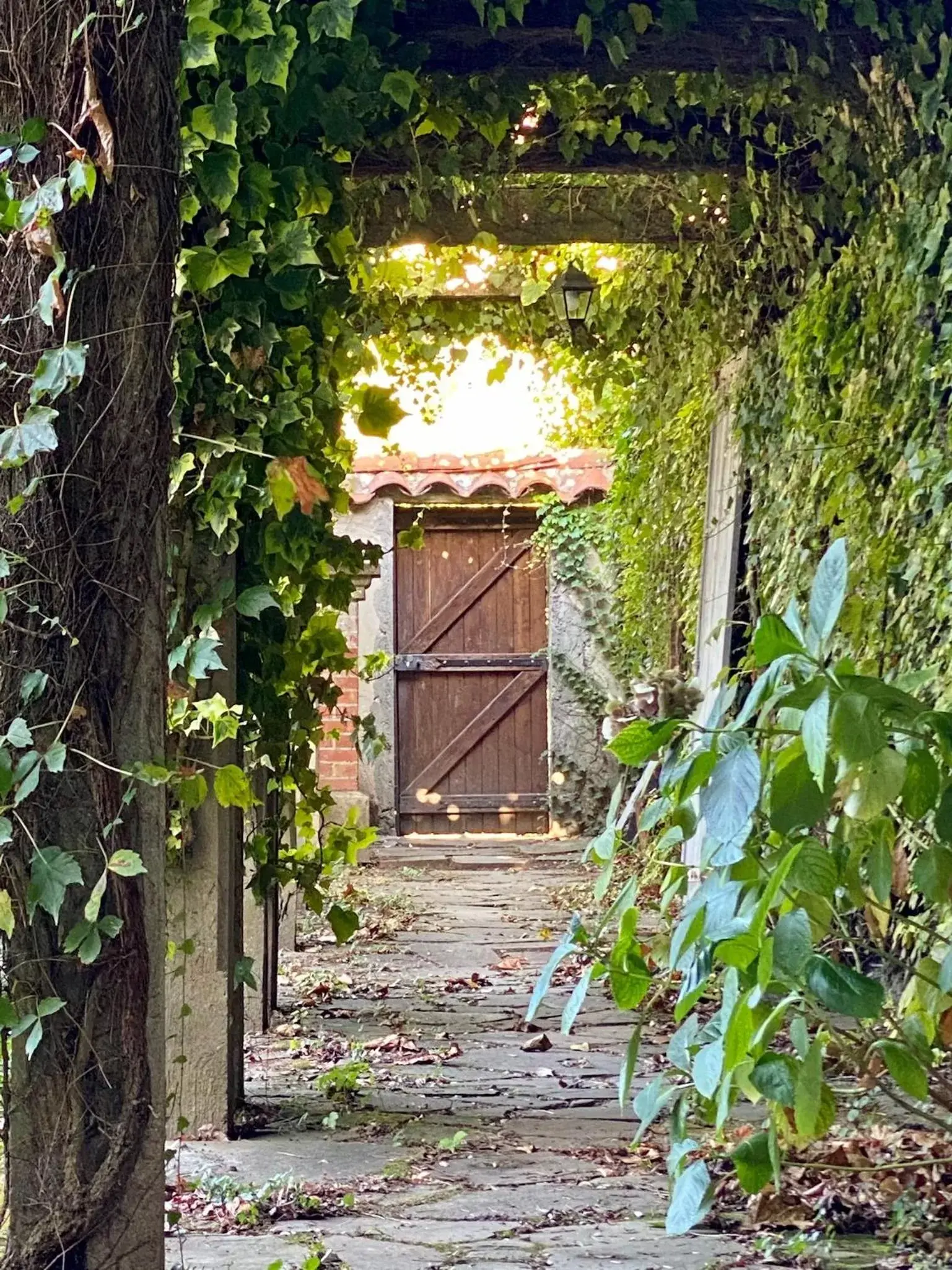 Garden in Le Rez de Jardin Albi